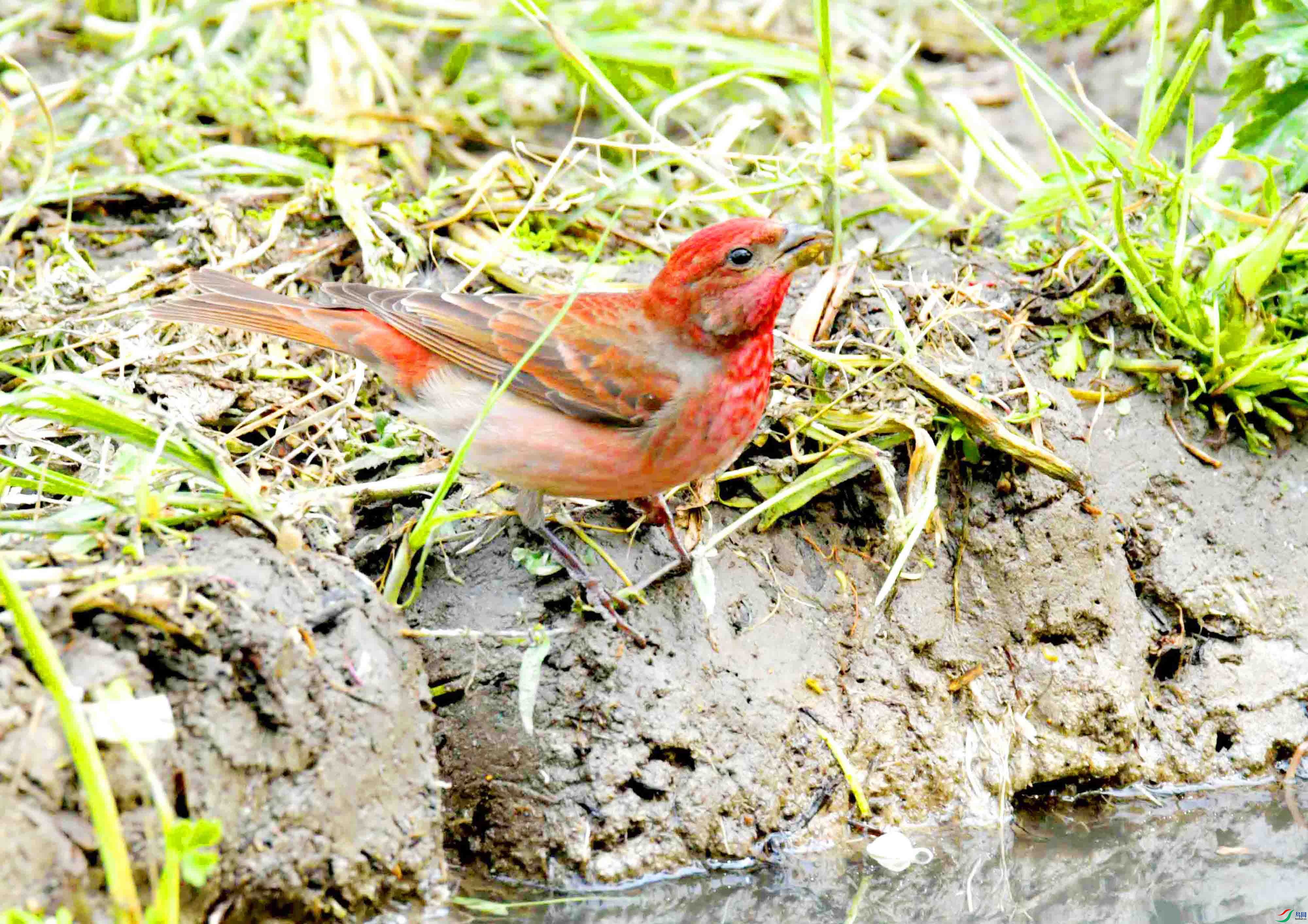 DSC_8711.JPG