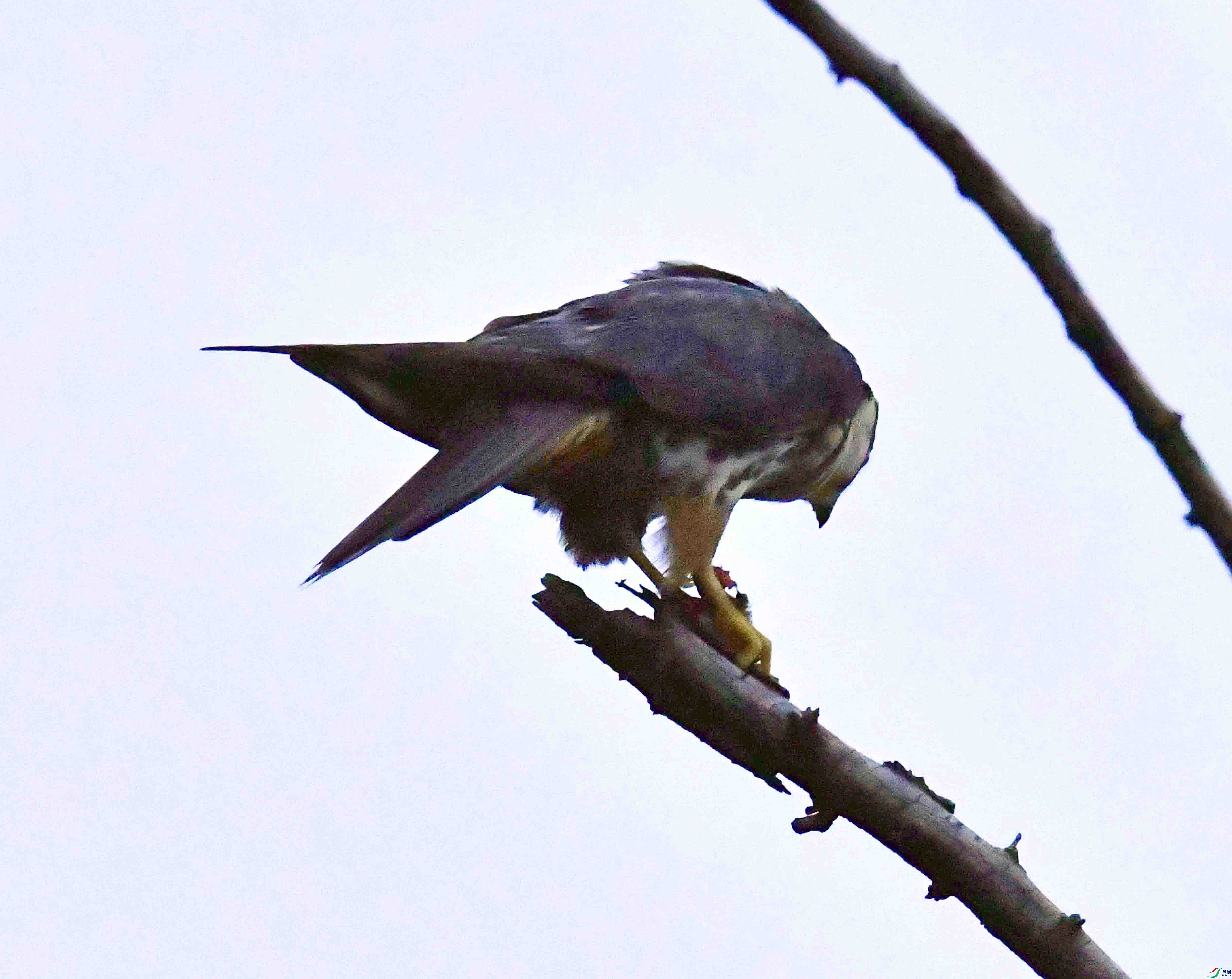 DSC_4938.JPG