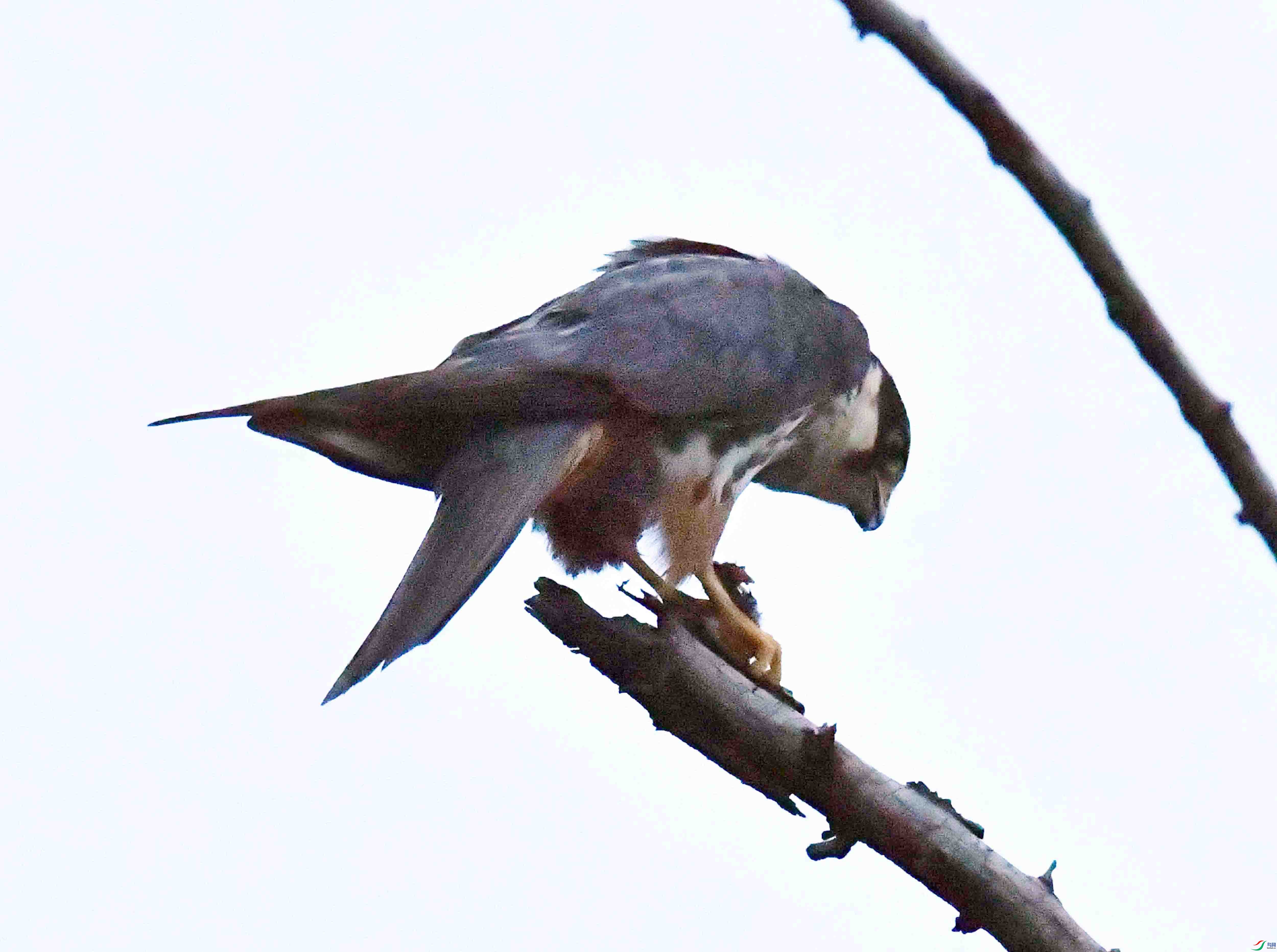 DSC_4936.JPG