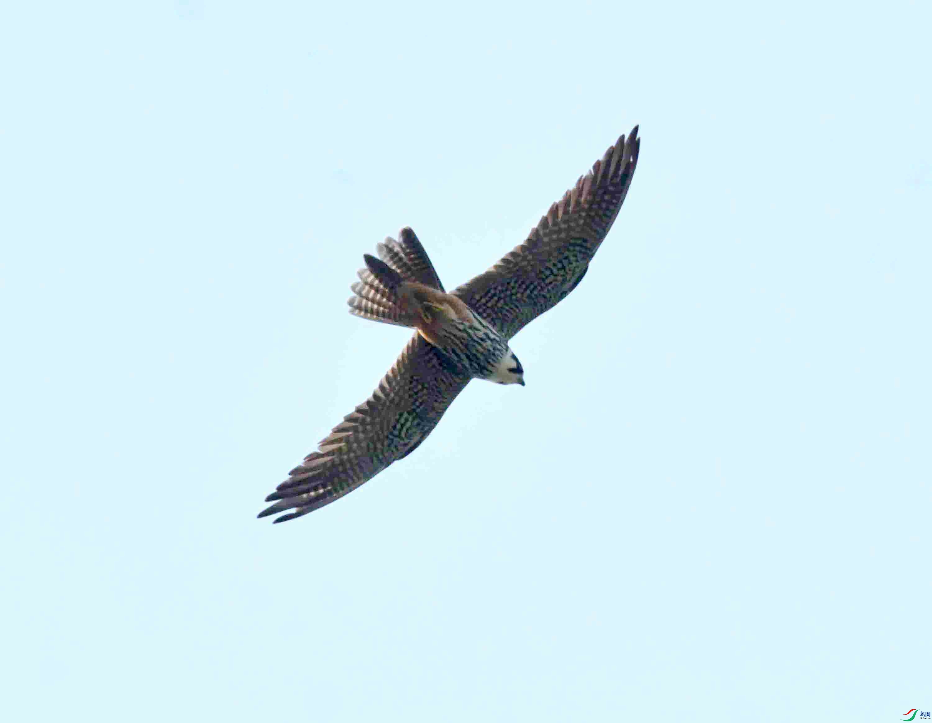DSC_7827.JPG