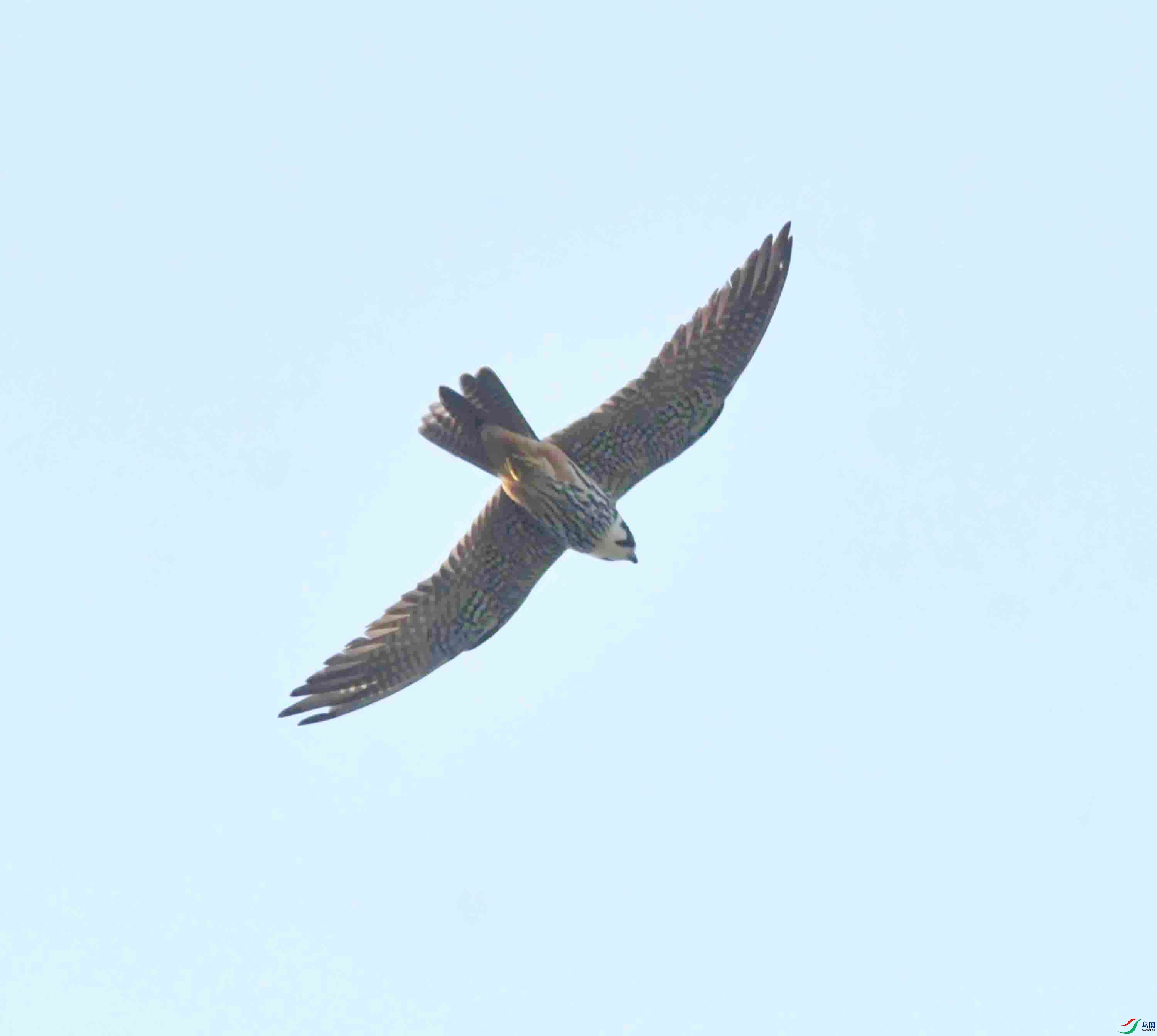 DSC_7829.JPG
