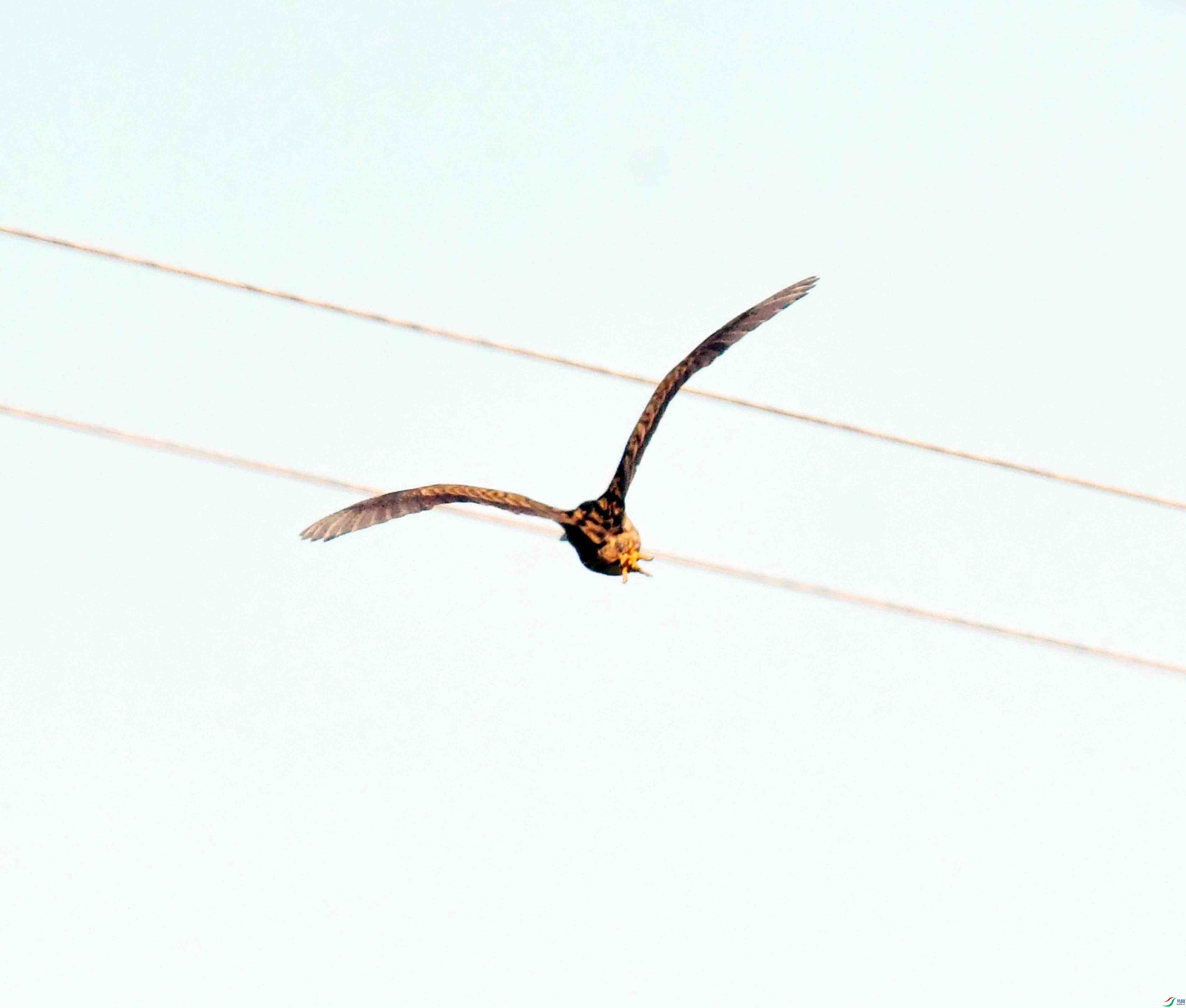 DSC_8696.JPG