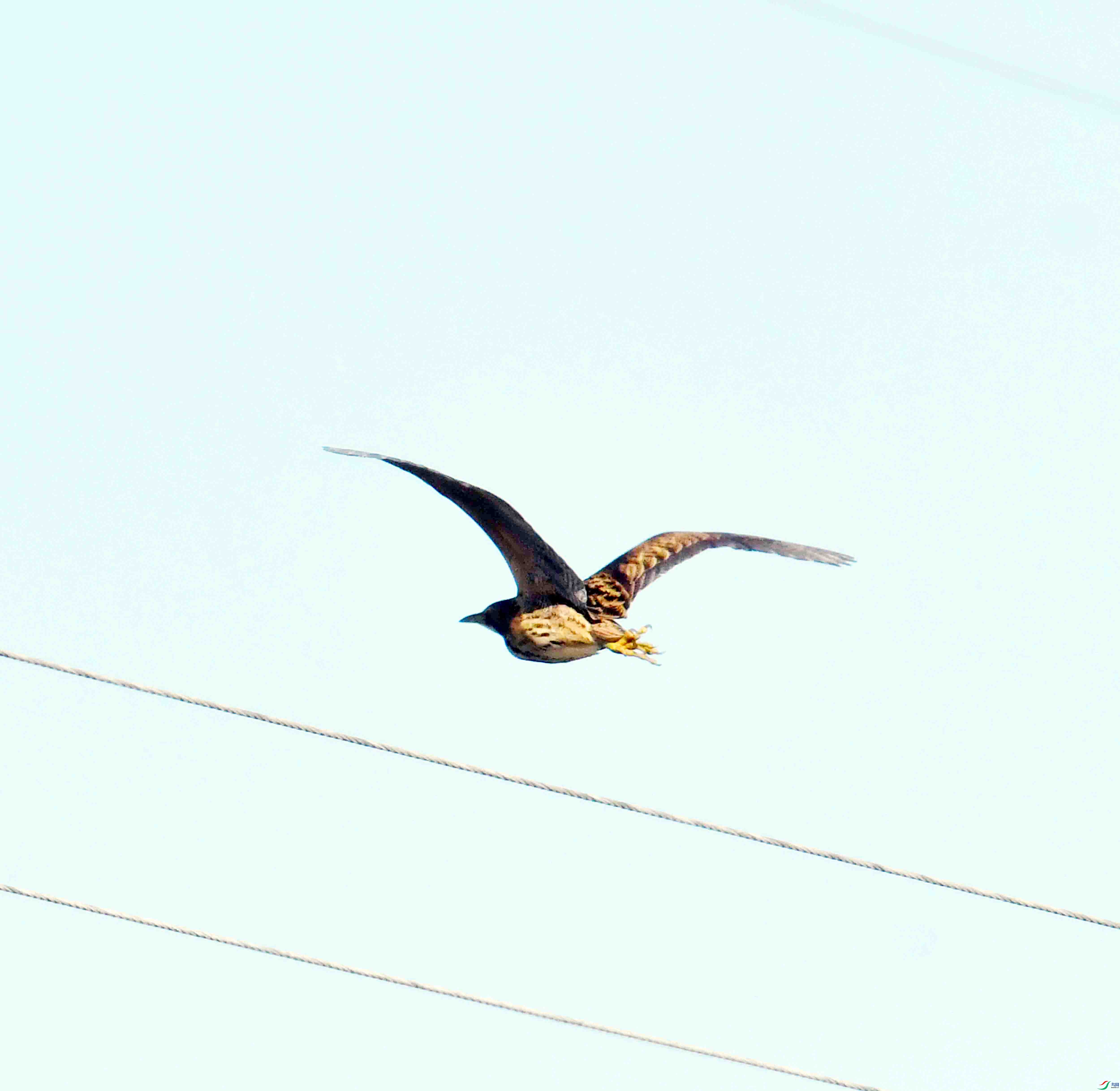 DSC_8697.JPG