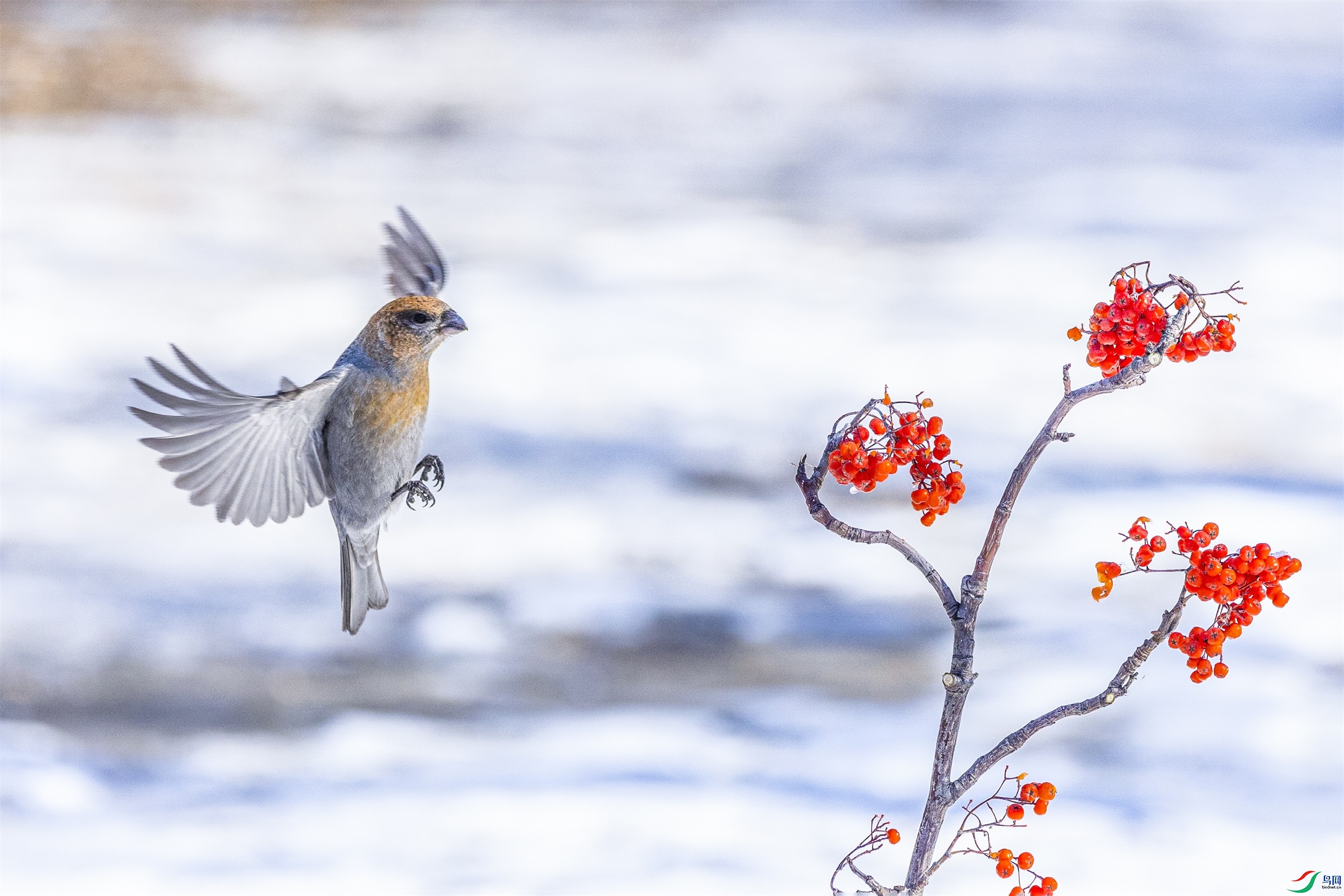 1K3A5390 ����1.jpg