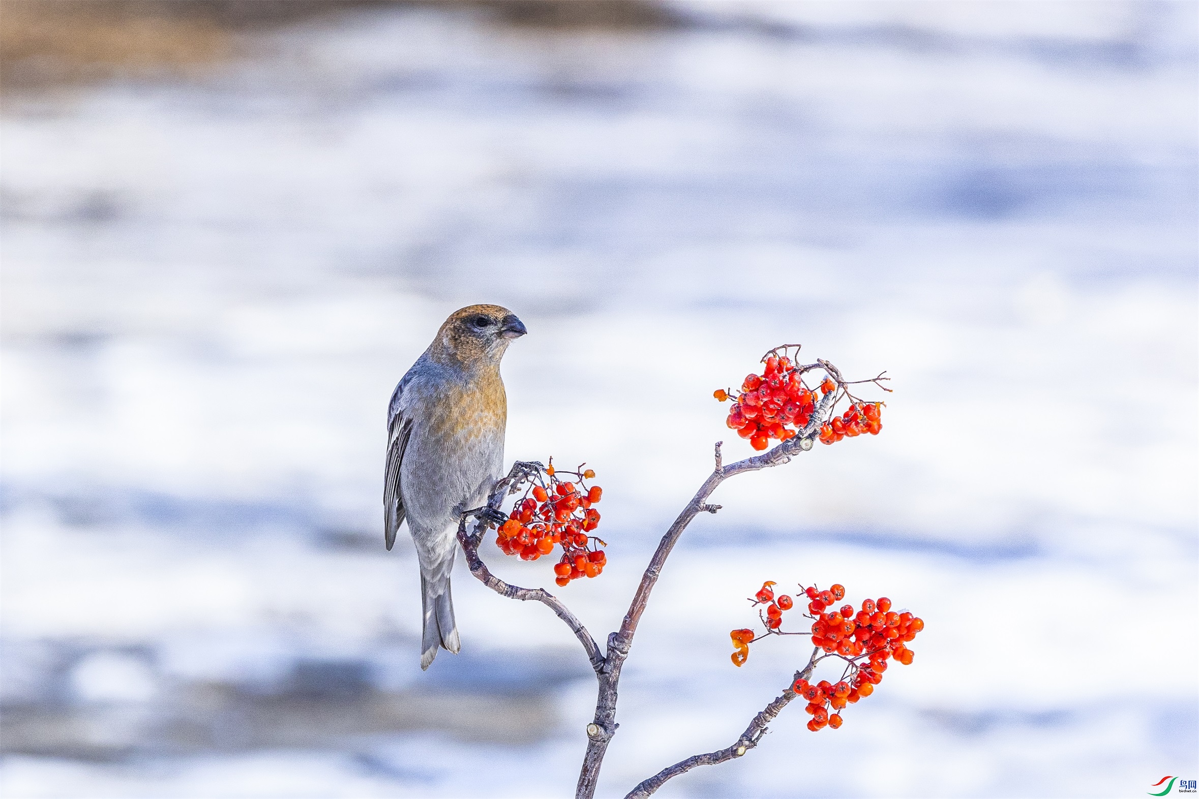 1K3A5394 ����1.jpg