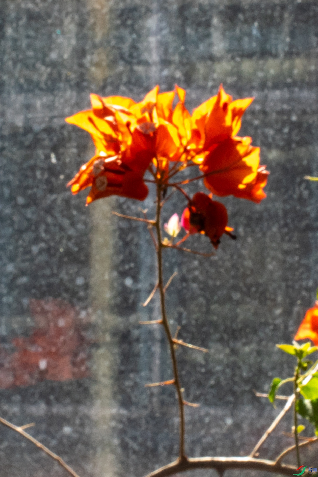 _DSC9030.jpg