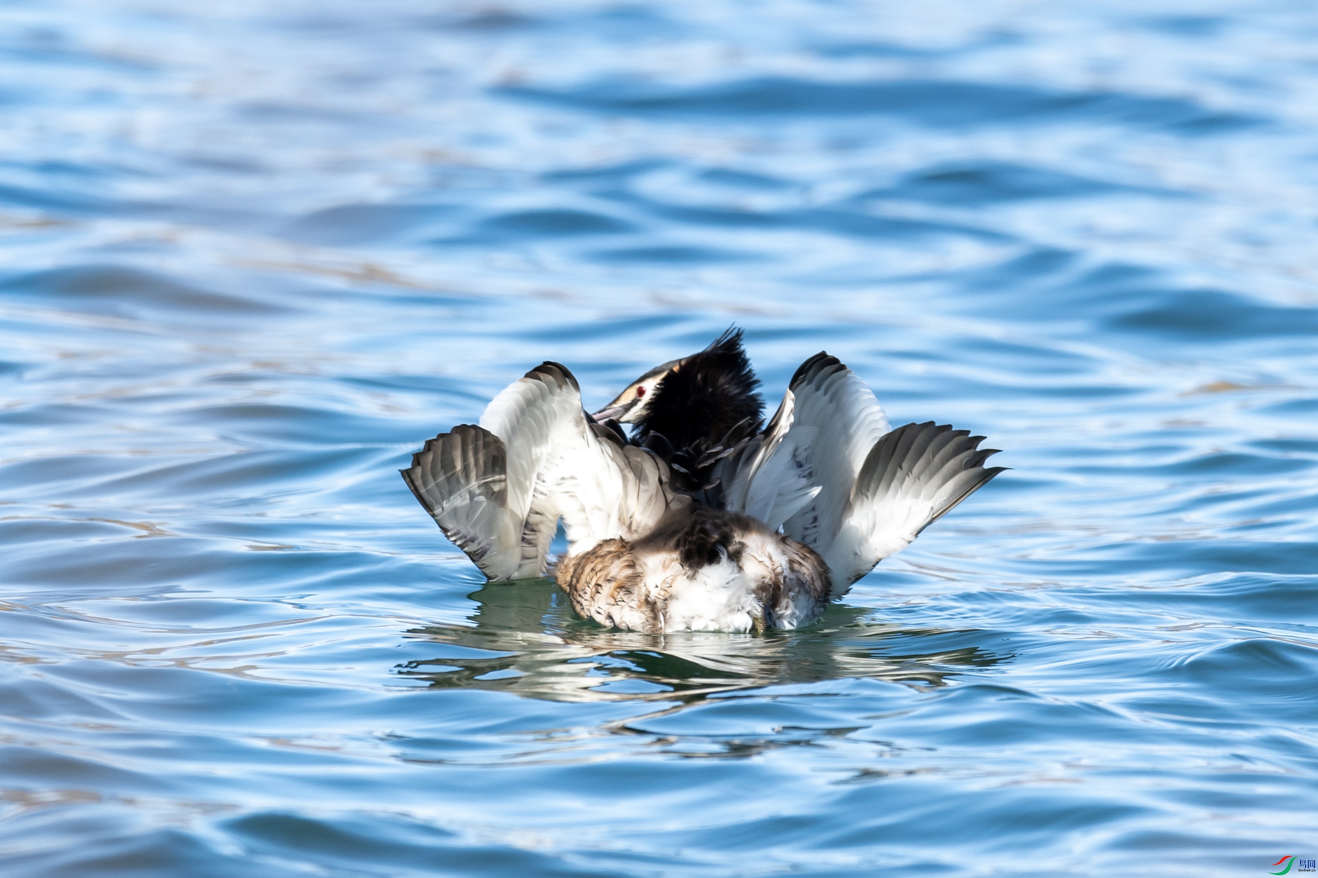 DSC_1562 ����.jpg