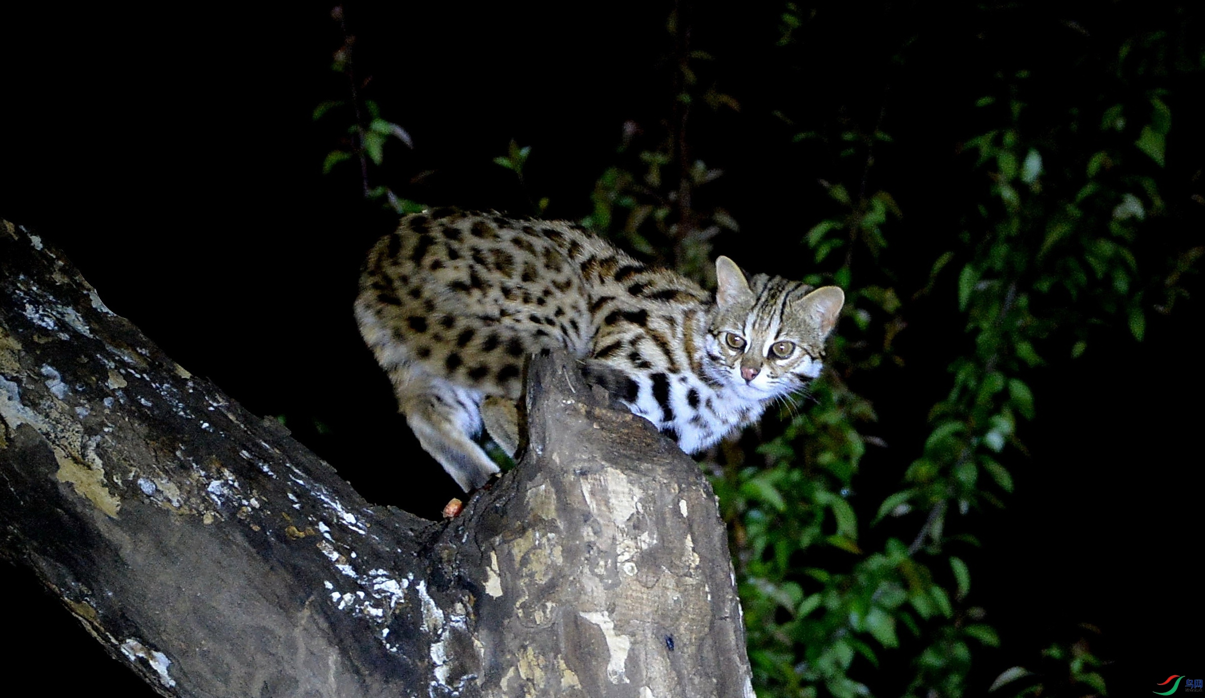 DSC_8899_����.jpg