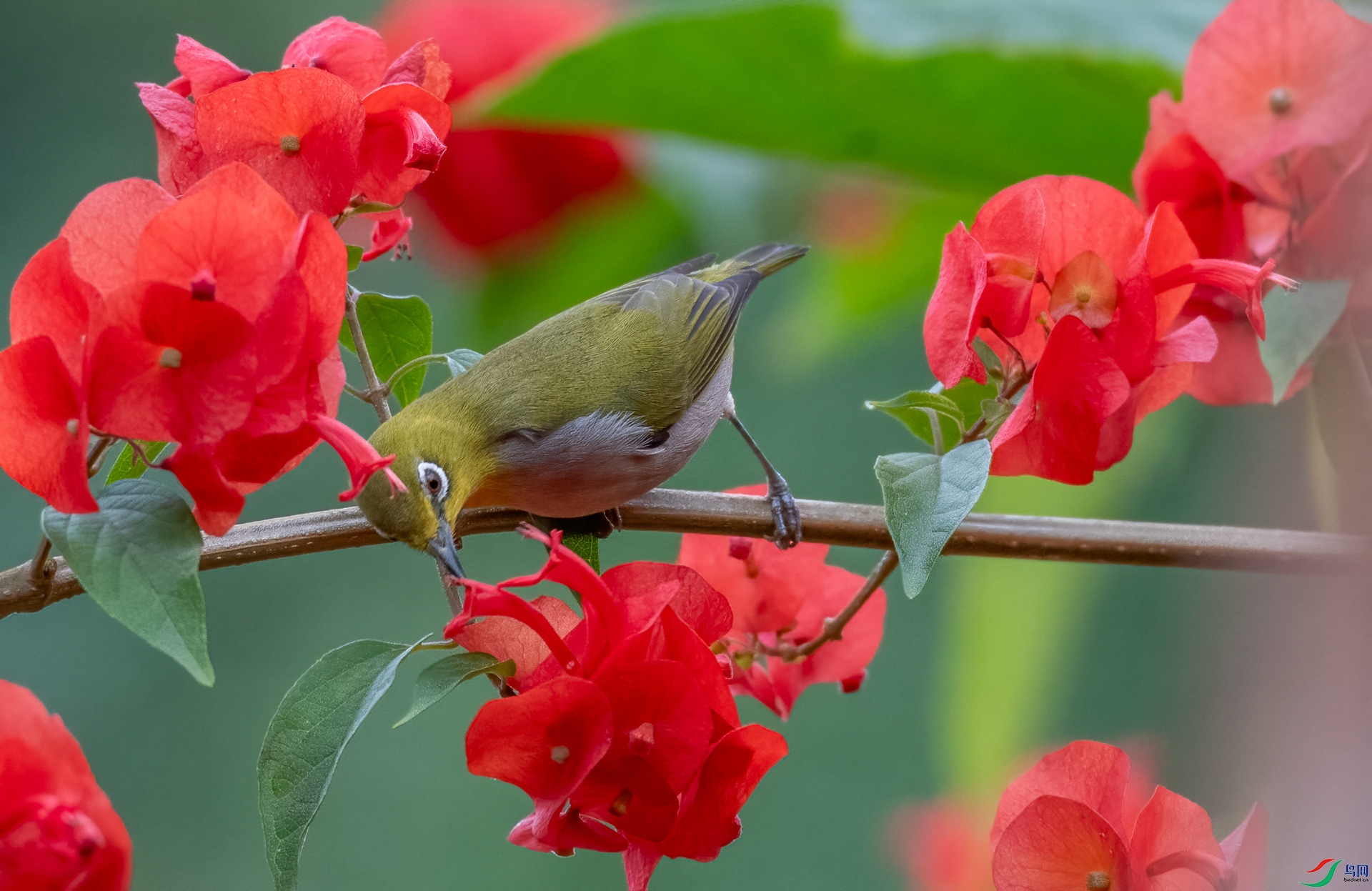 DSC_1677.jpg