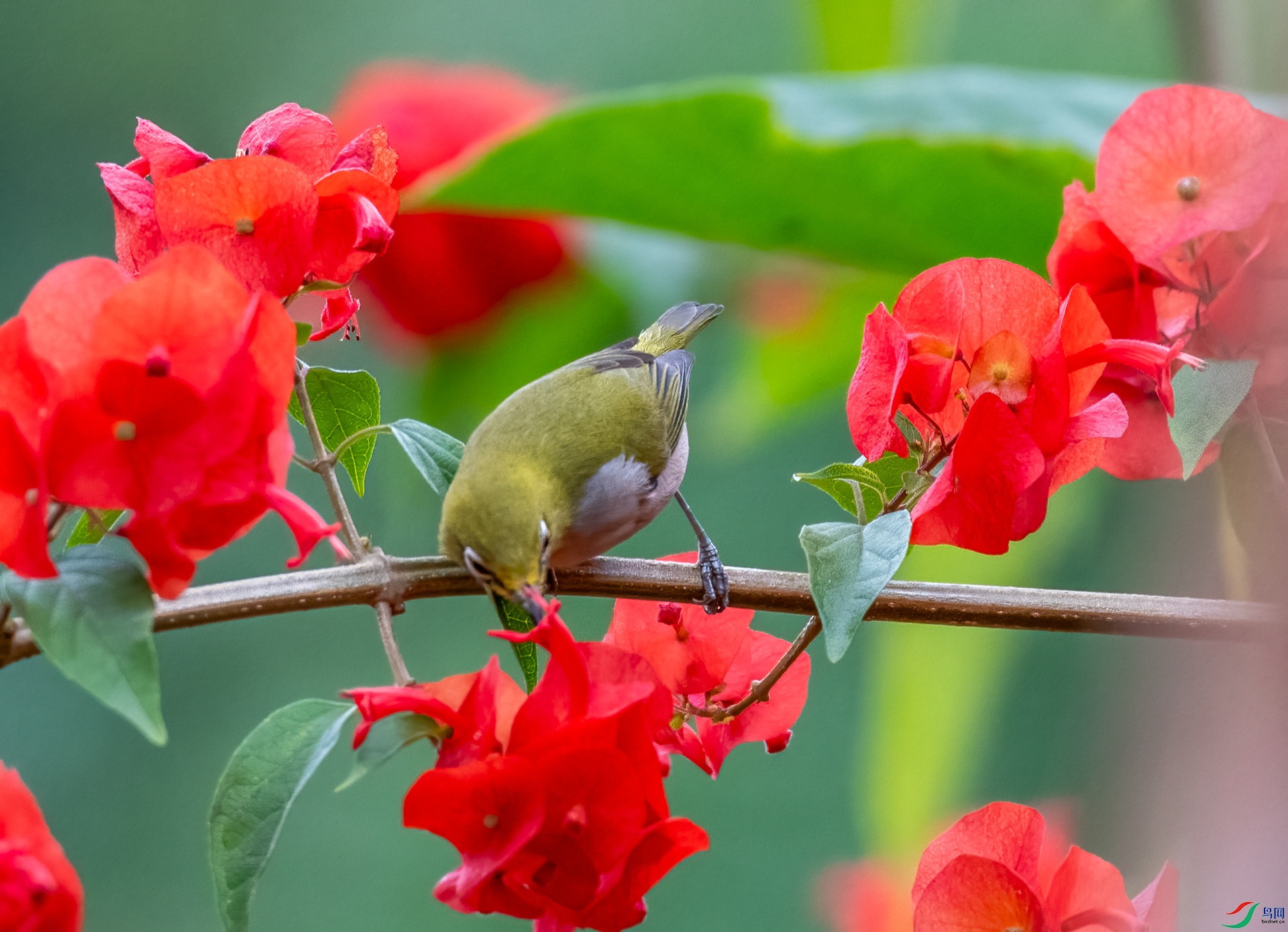 DSC_1676.jpg
