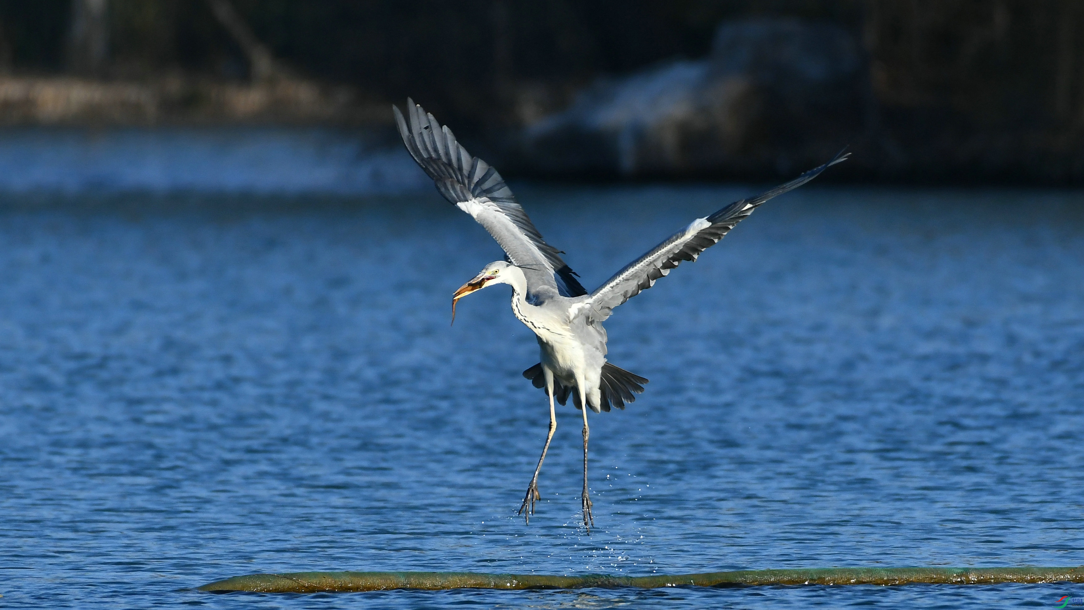 DSC_0227.JPG