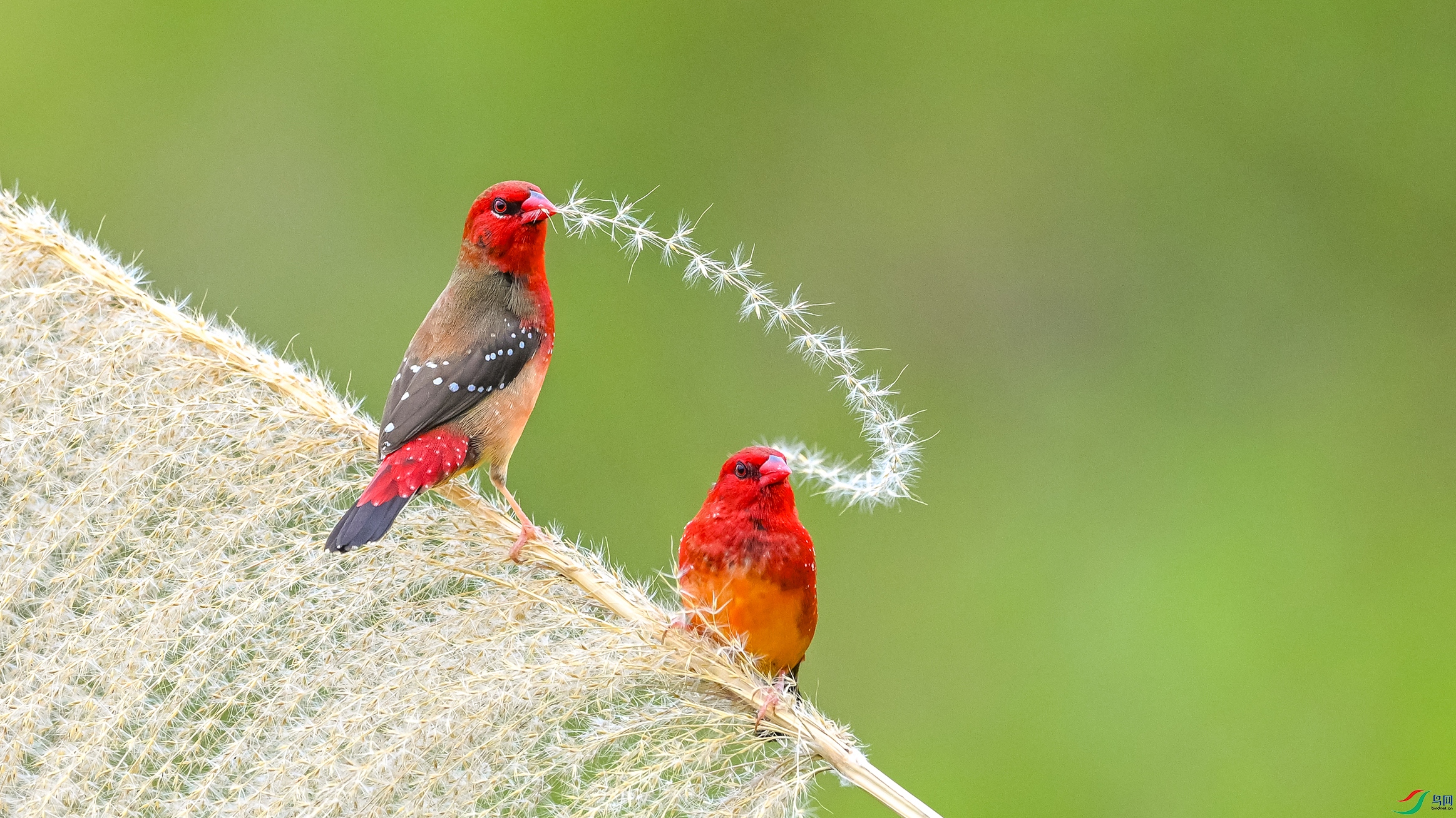 3385 ���� 2-1.jpg