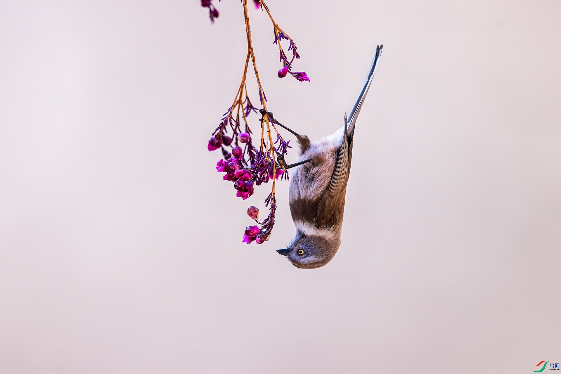 IMGL0019 ����.jpg