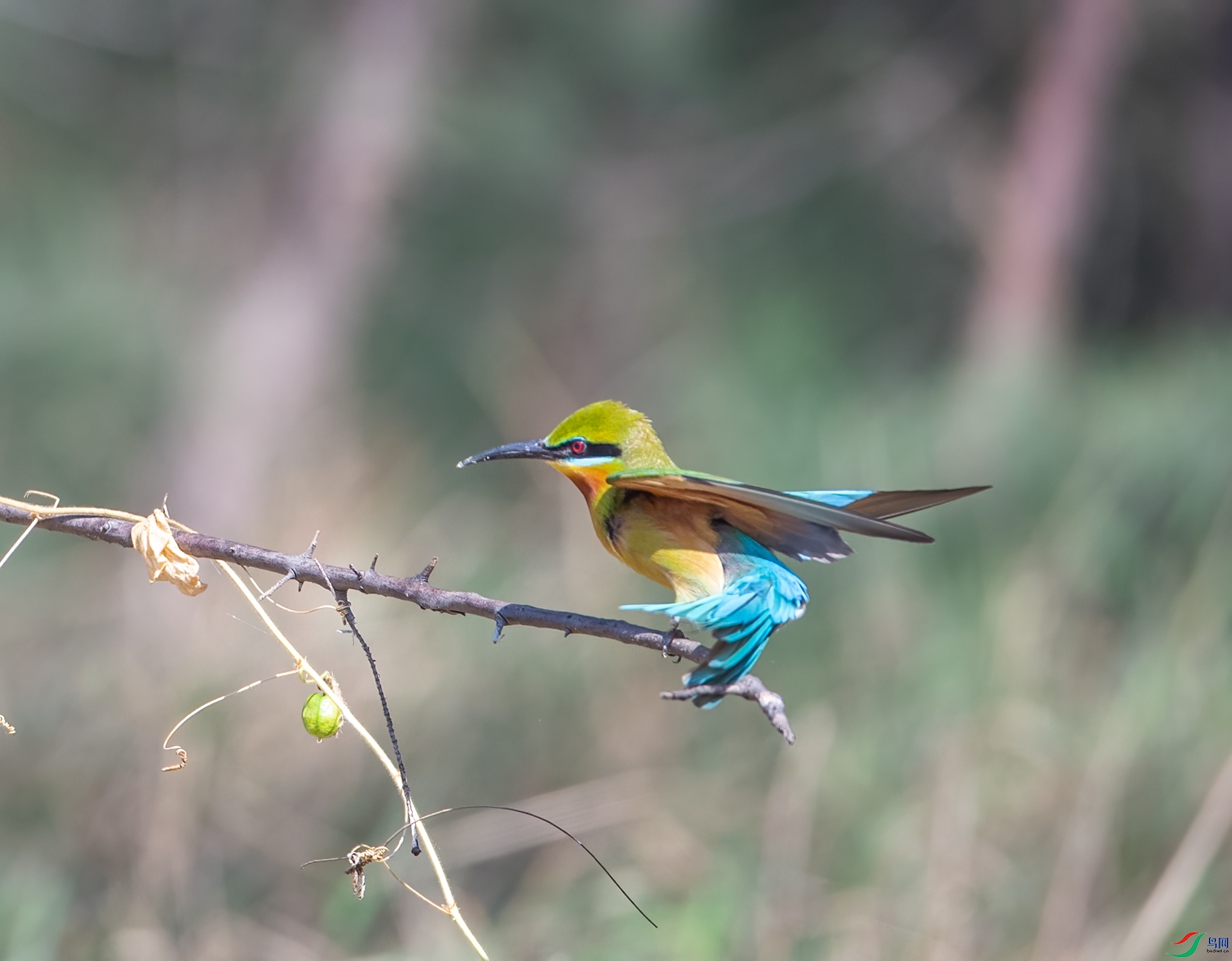 DSC_4547.jpg