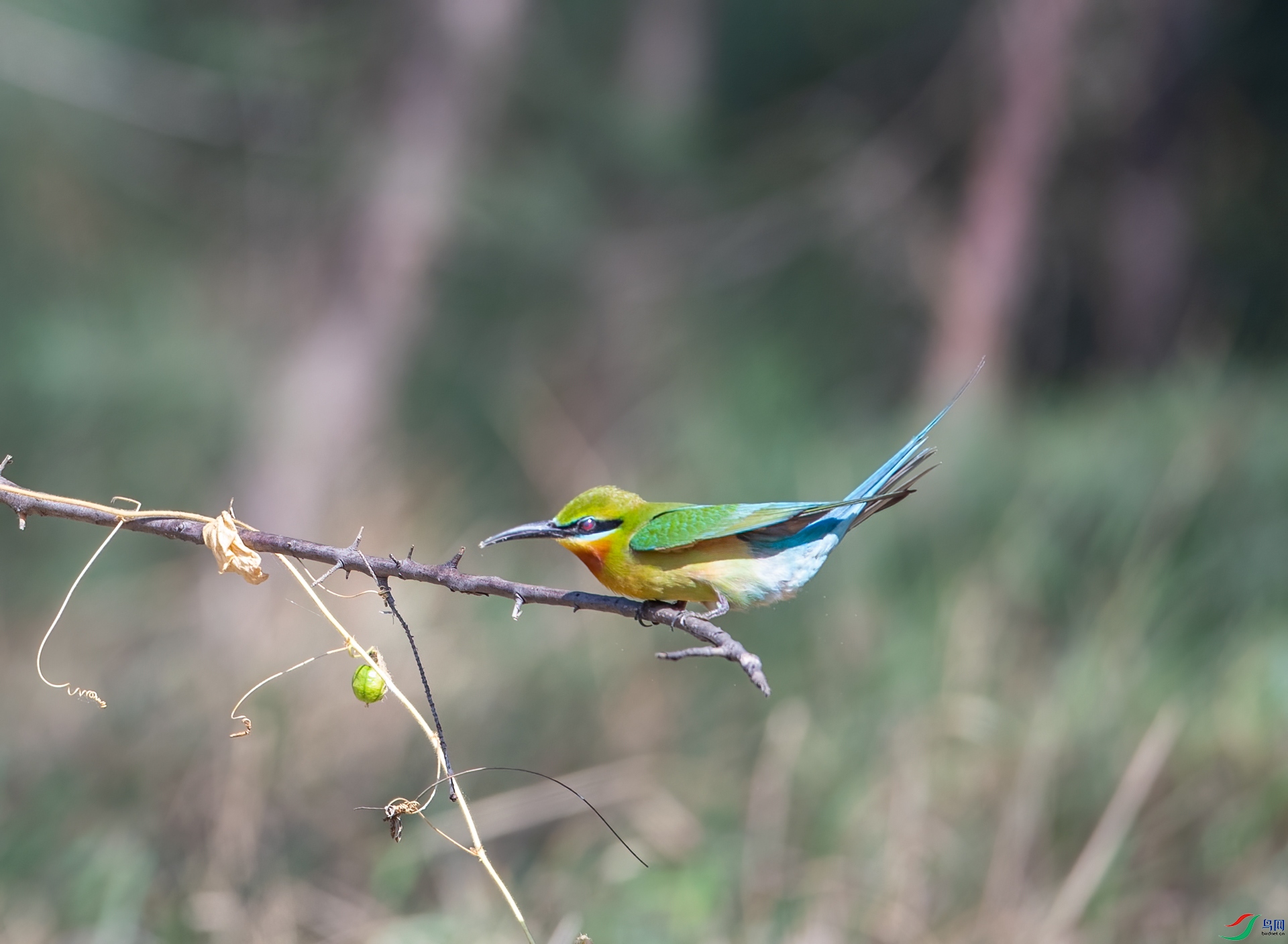 DSC_4548.jpg