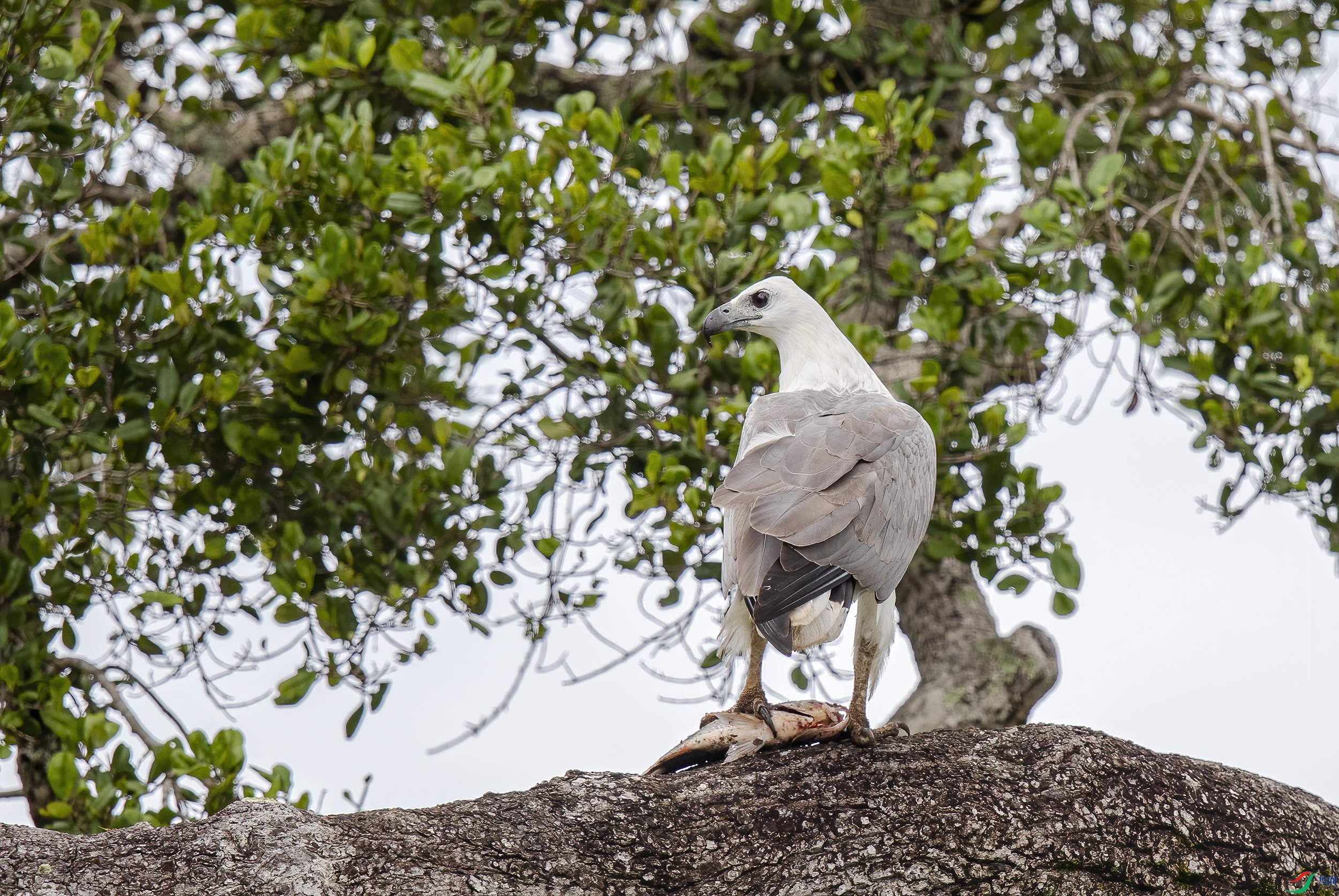 AC3I7418 ����.jpg