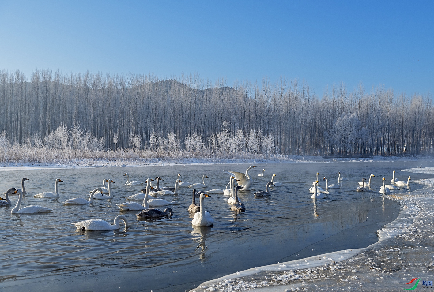 DSC_7537.jpg