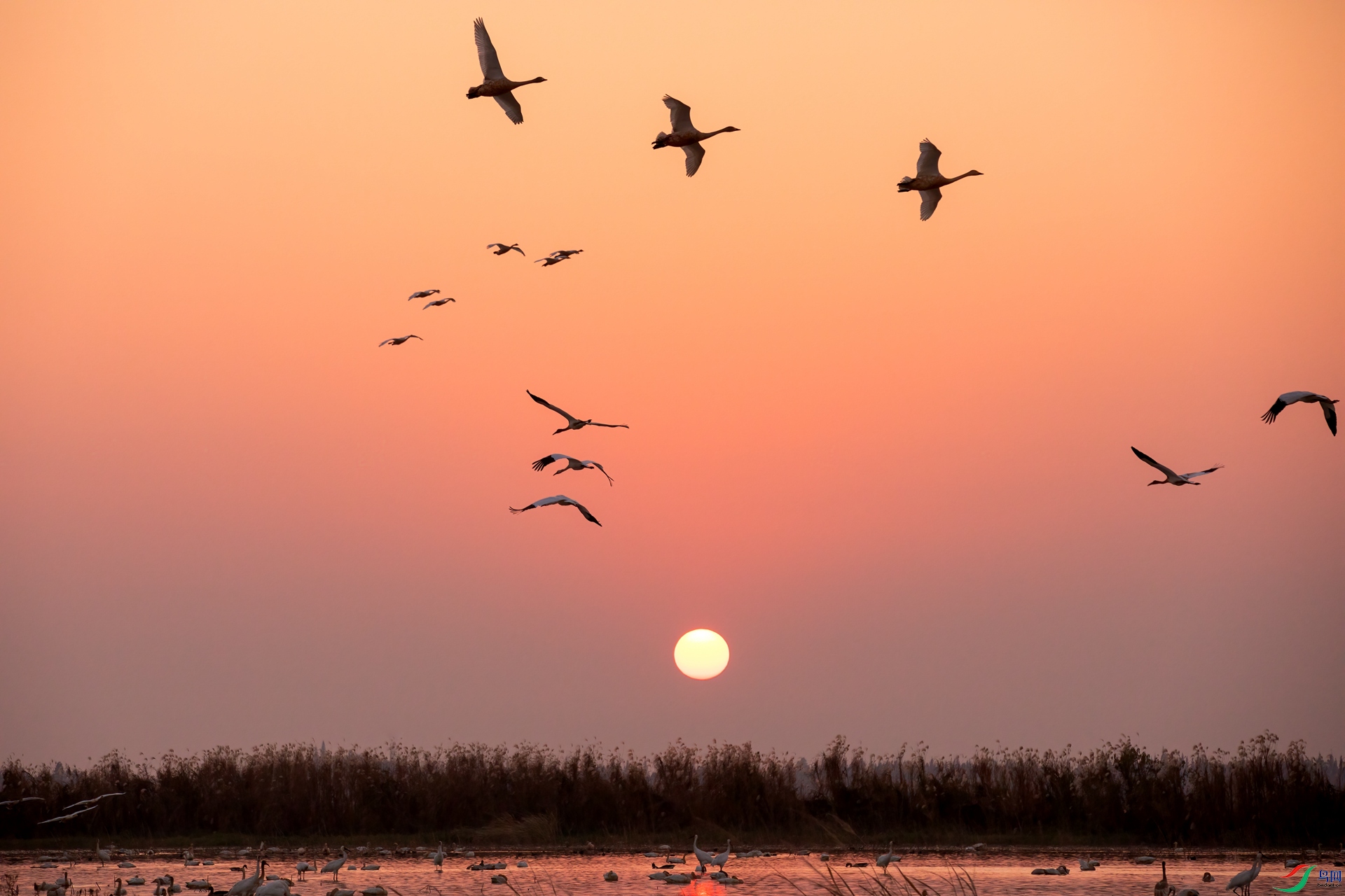 073A4960 _����.jpg