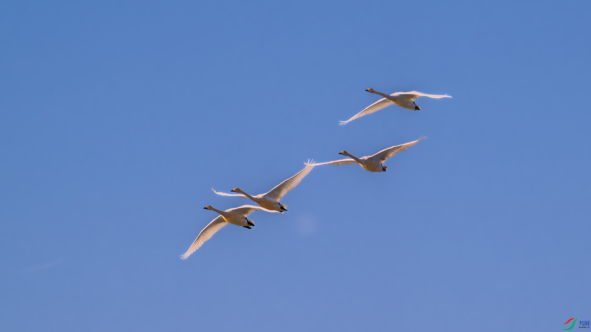 _DSC0254==1w.jpg