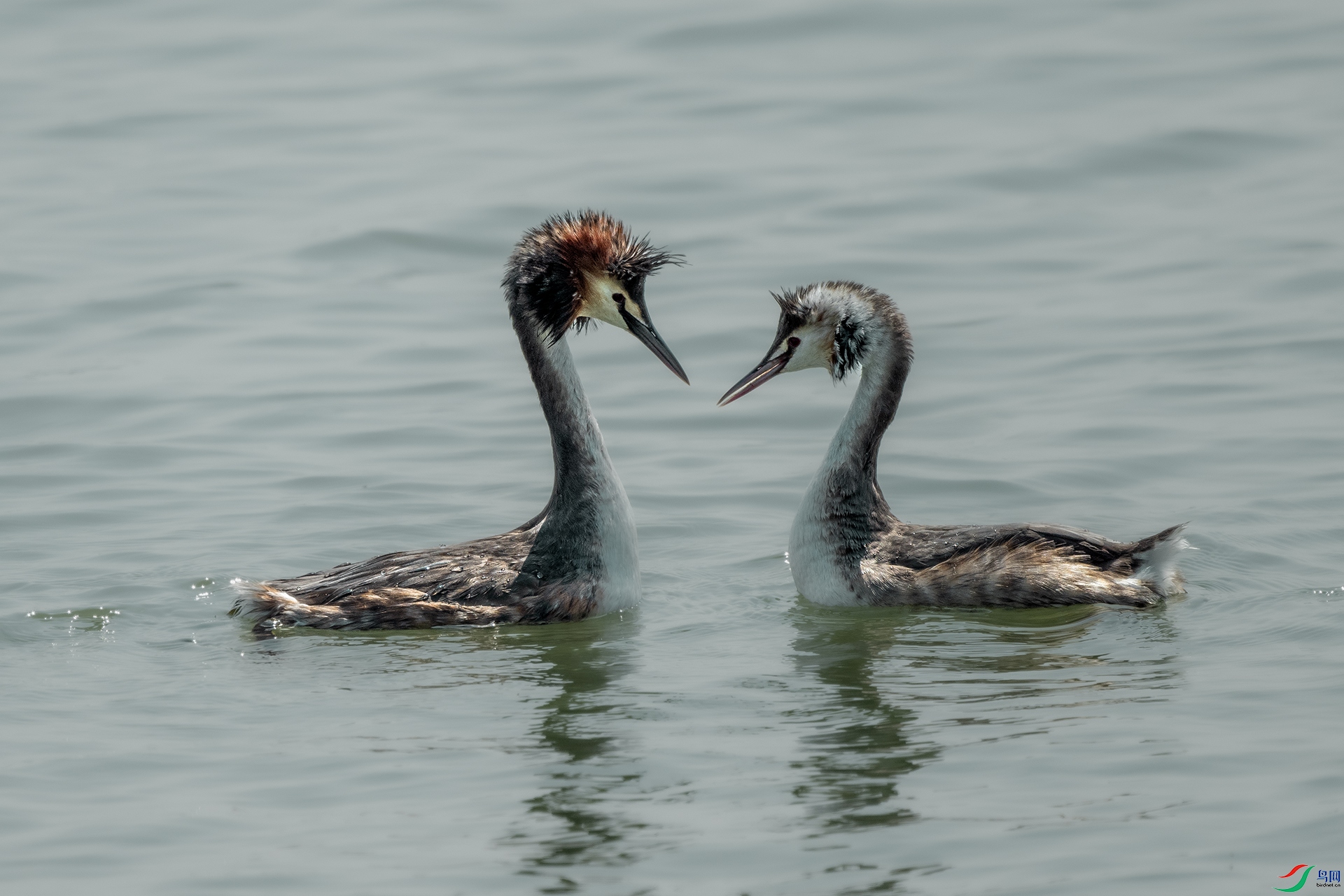 DSC_0891.jpg