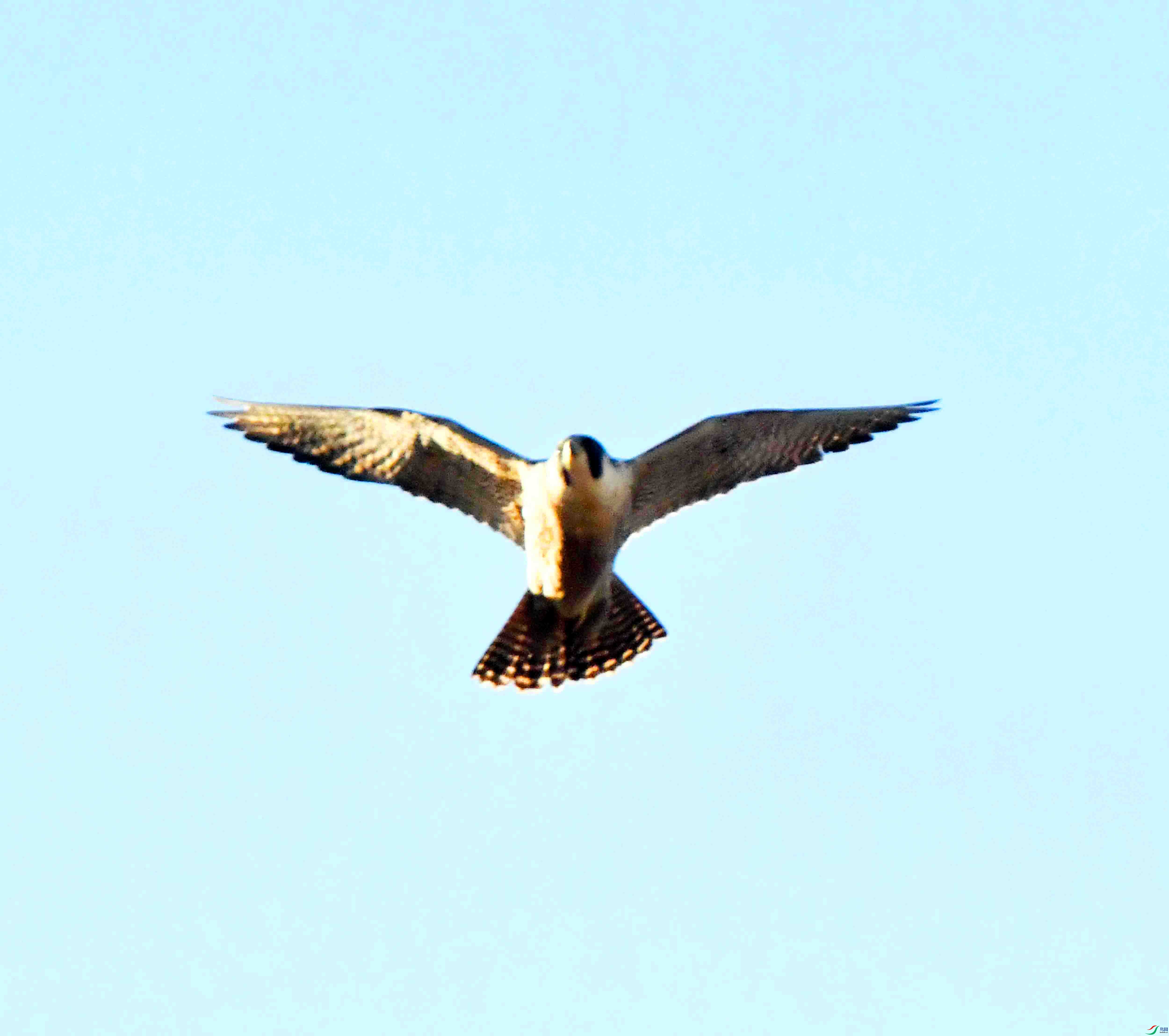 DSC_9257.JPG
