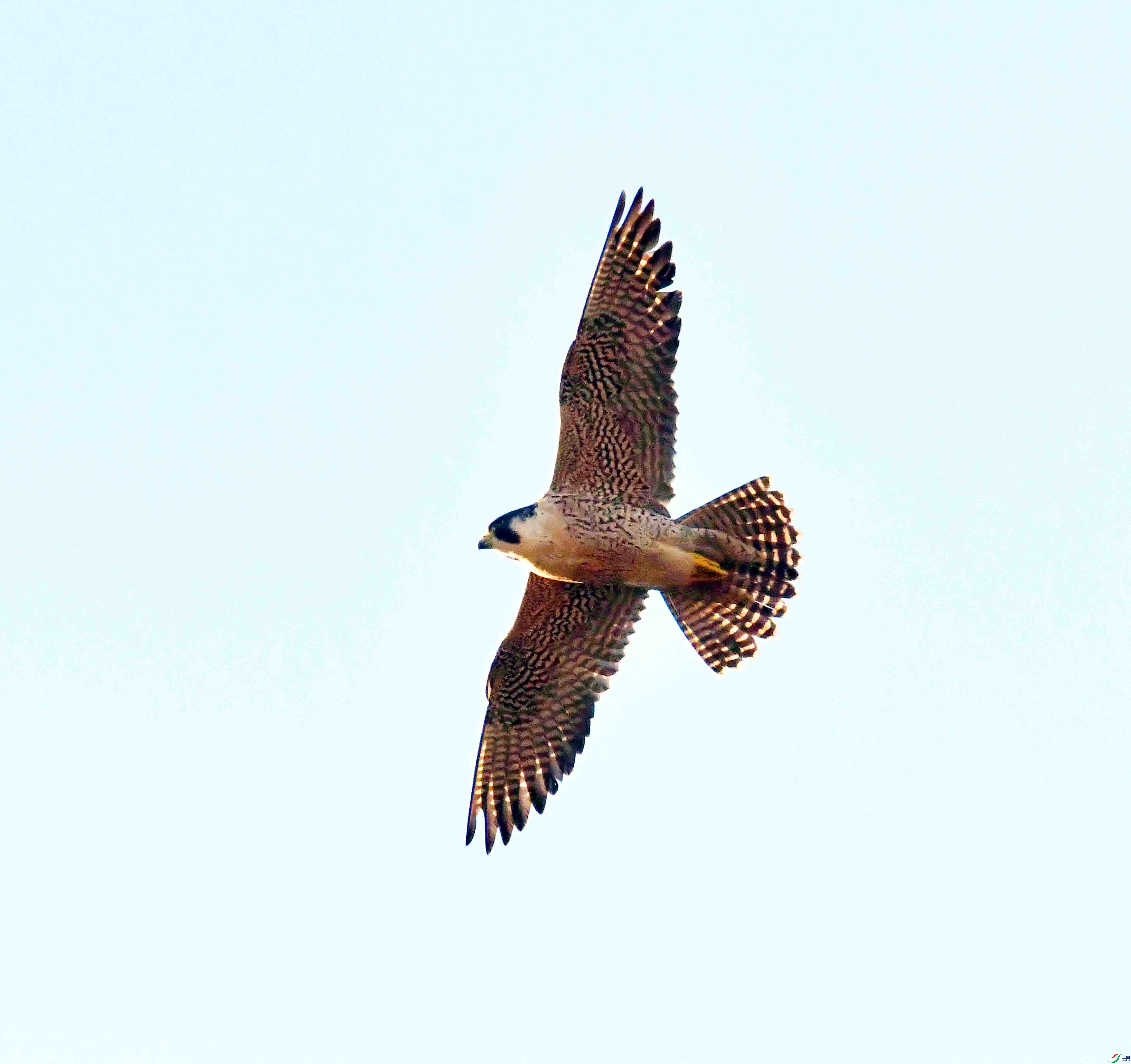 DSC_9260.JPG