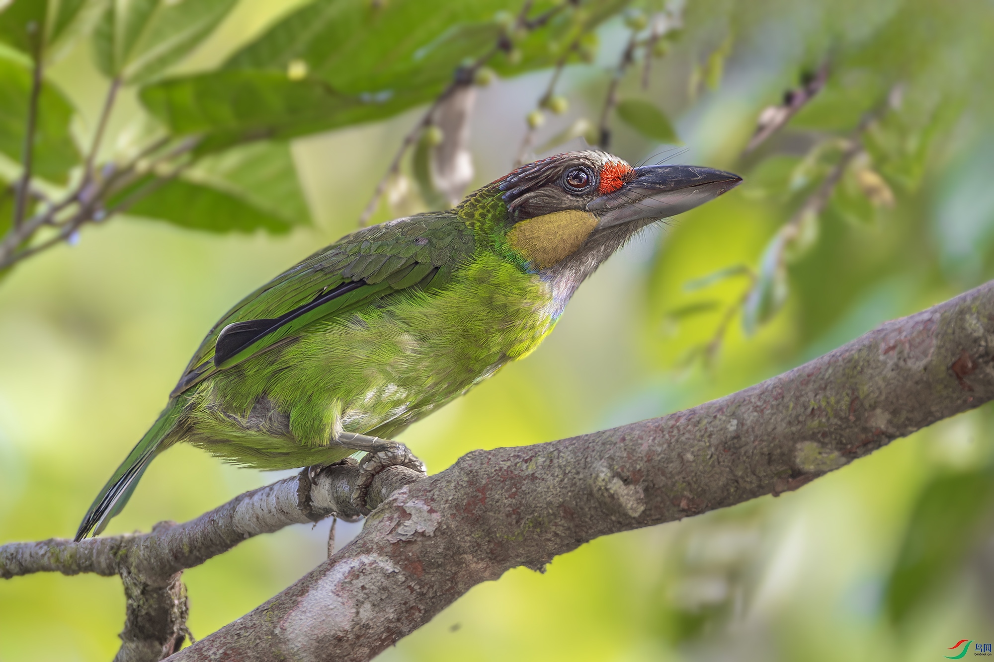 _97A2436-CR3 copy.jpg