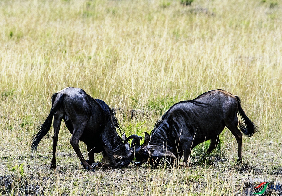 DSC_3963.jpg