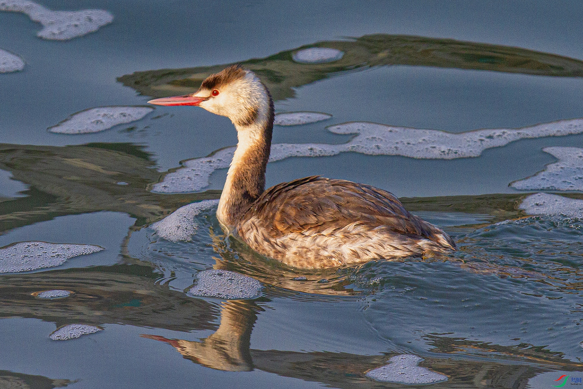 _MG_9624 ���� 3.jpg