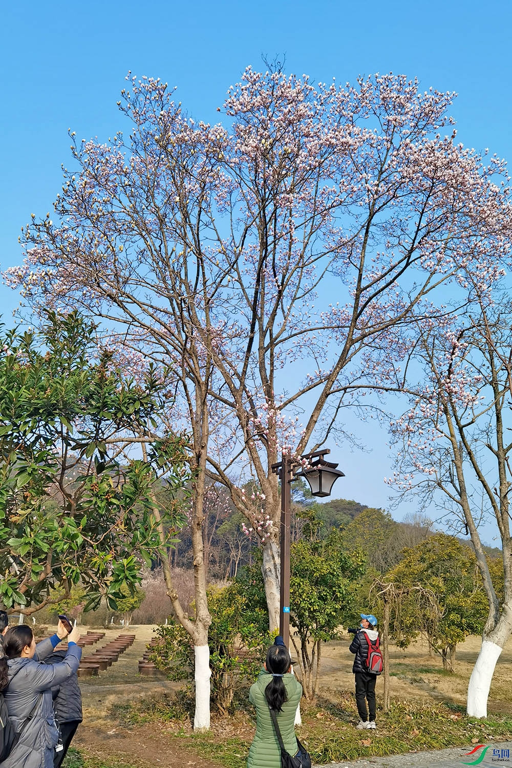 2G9A8176.jpg