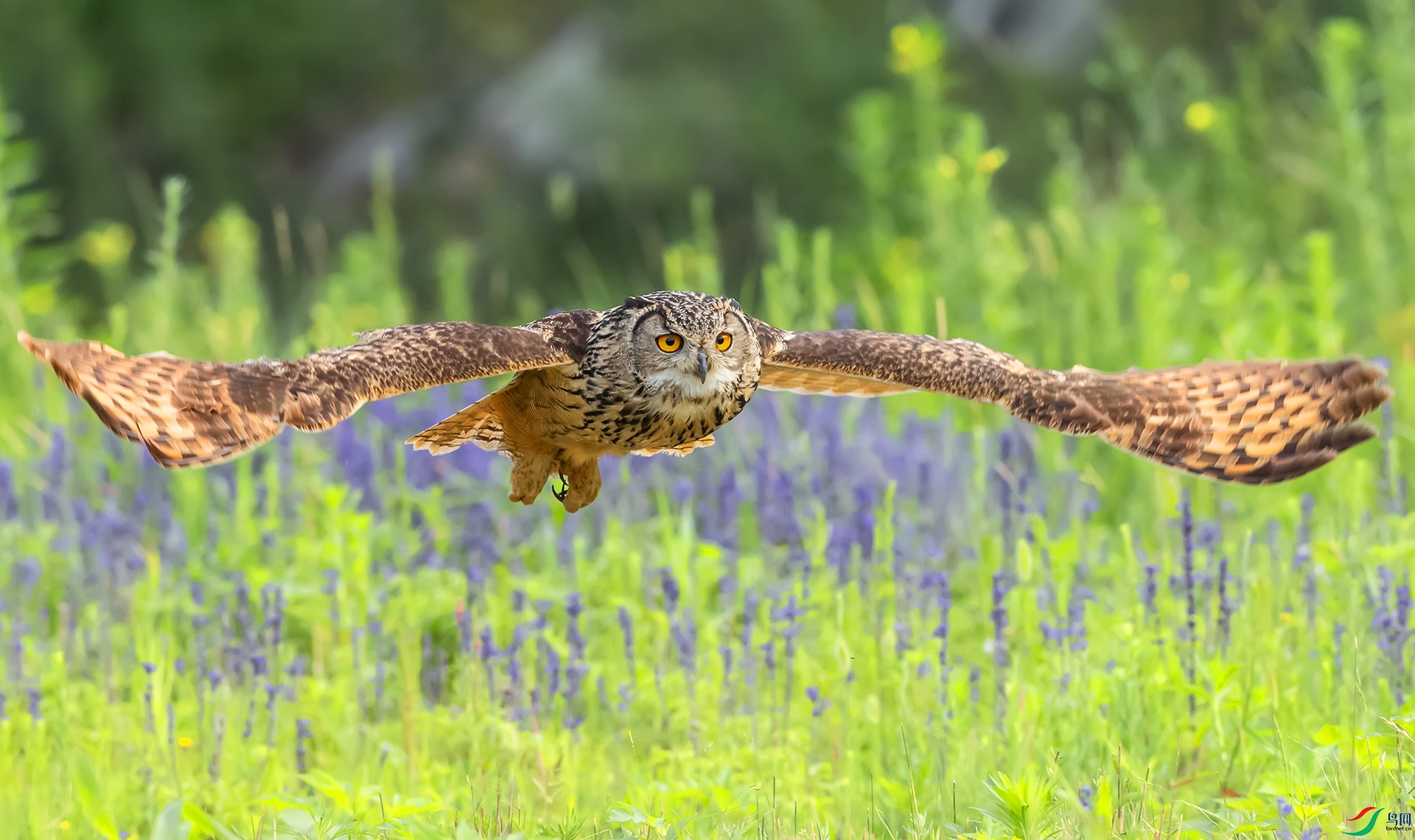 019A9441 ����.jpg