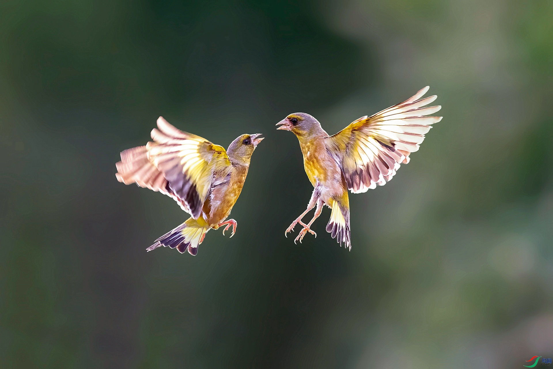 DSC_8990 ����_����_����_���� ����.jpg