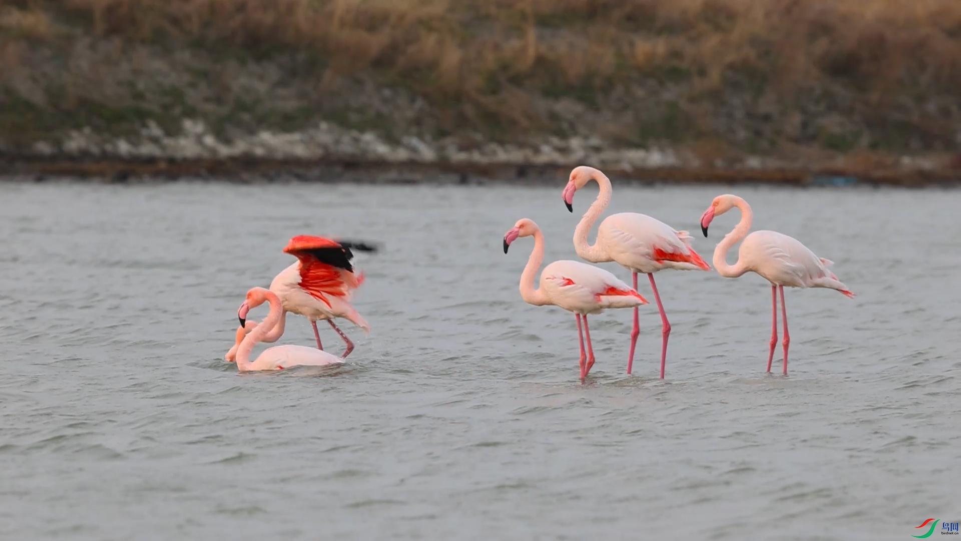 ��ԡ�Ļ�����12��9�� (1).jpg