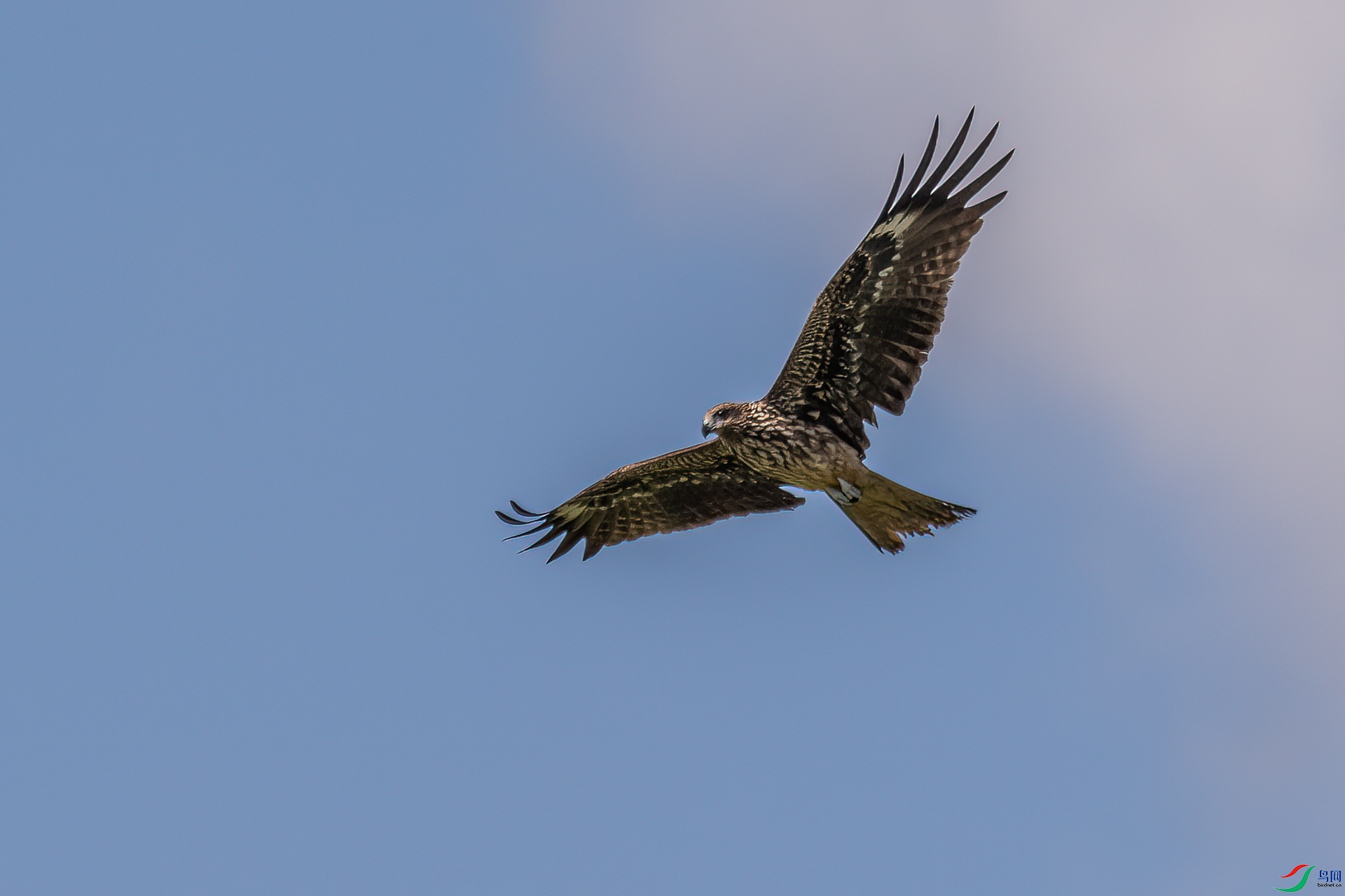 DSC_0125.jpg