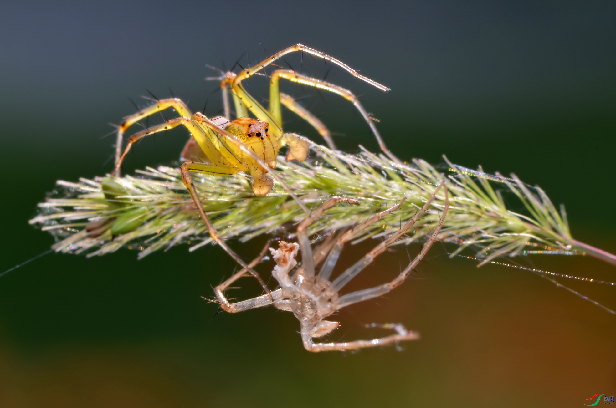 DSC_7885 ����.jpg