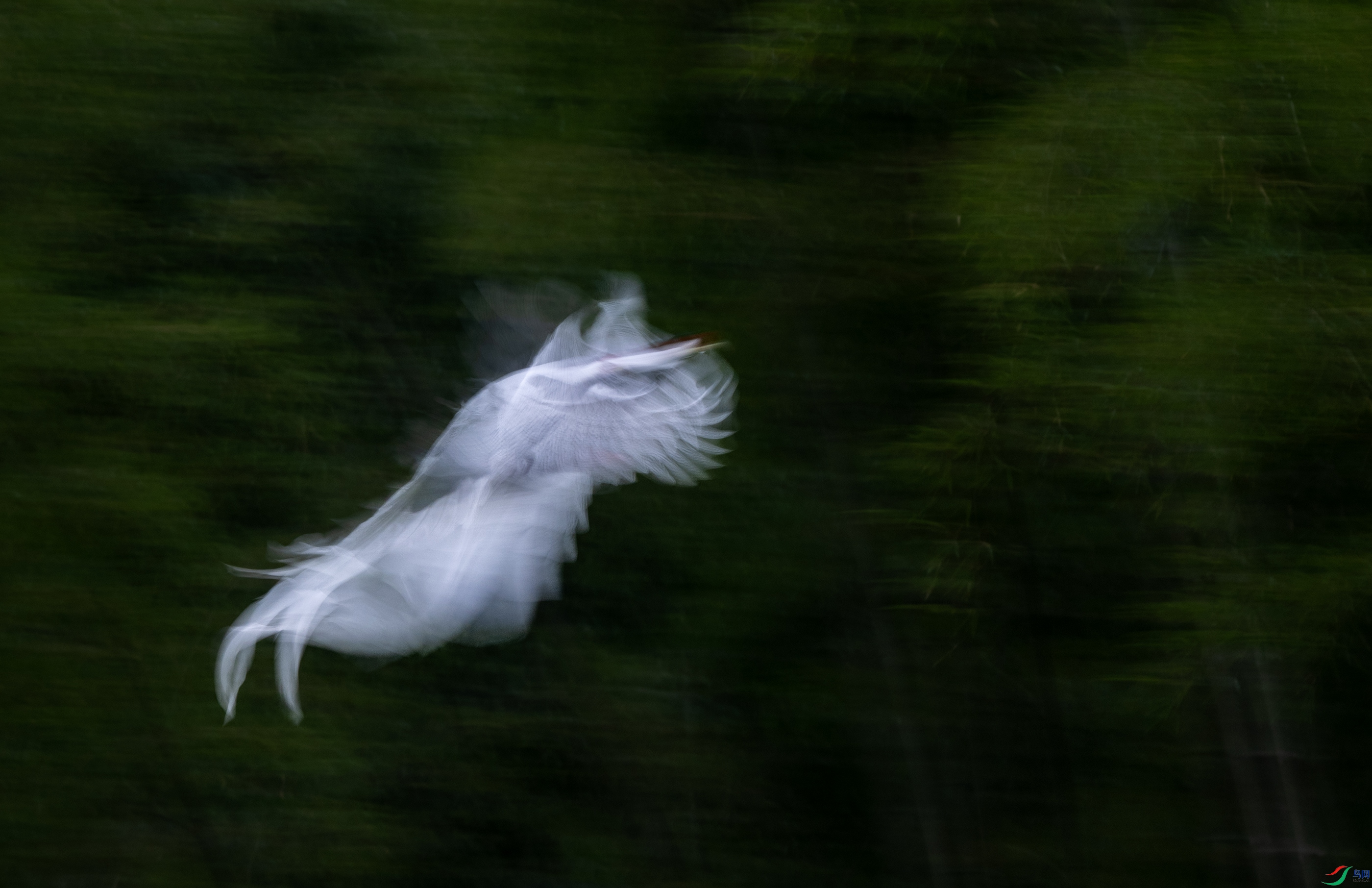 DSC_7662-32.jpg