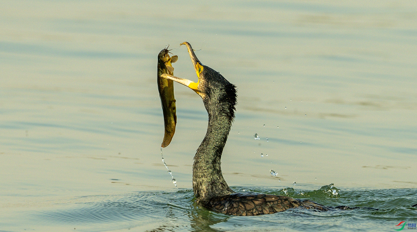 1758 ����.jpg