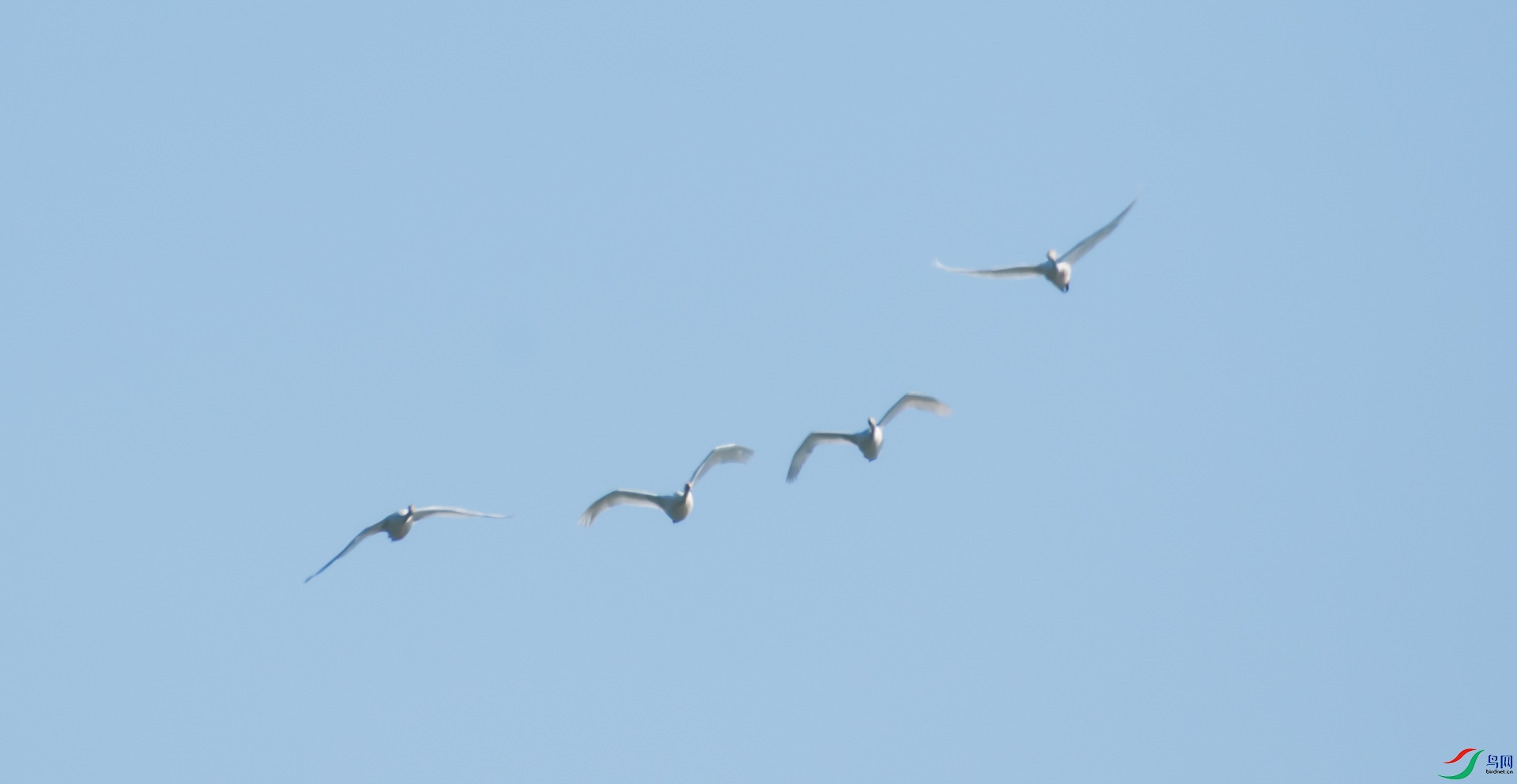 DSC_8963.jpg