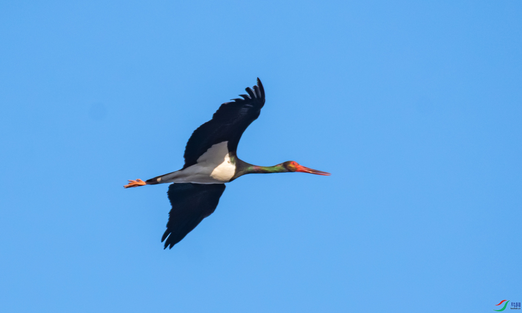 DSC_9469.jpg