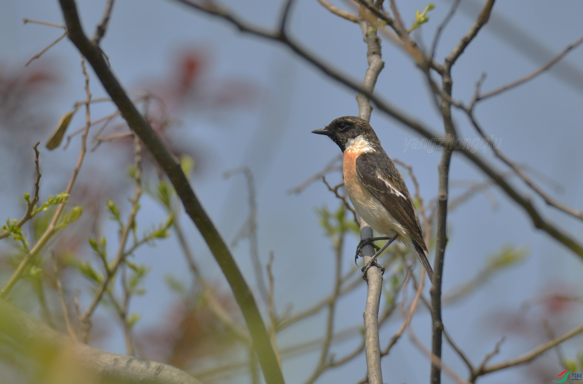 ����ʯ�H����