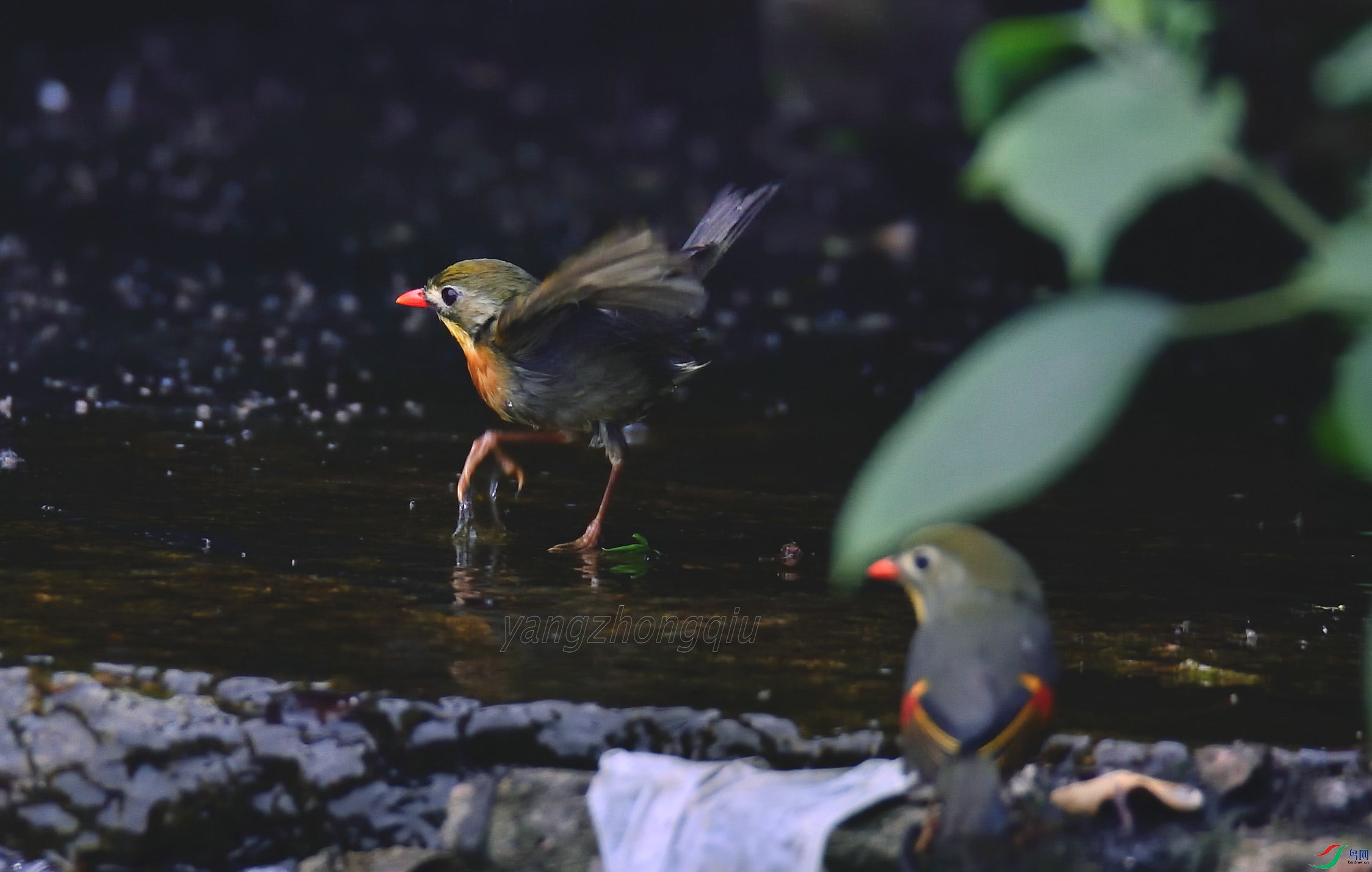 ������˼��