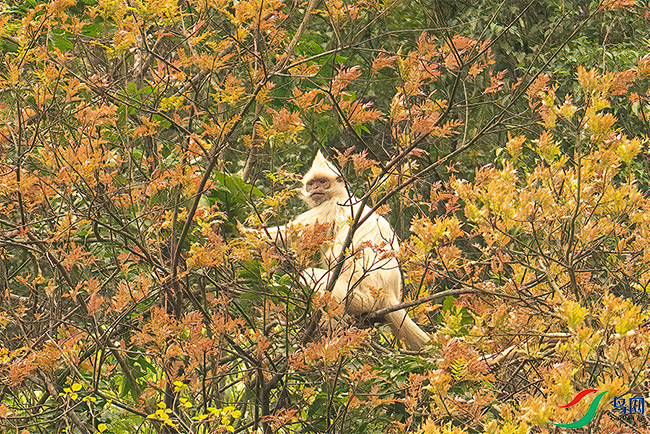 DSC00871.png   0001.png