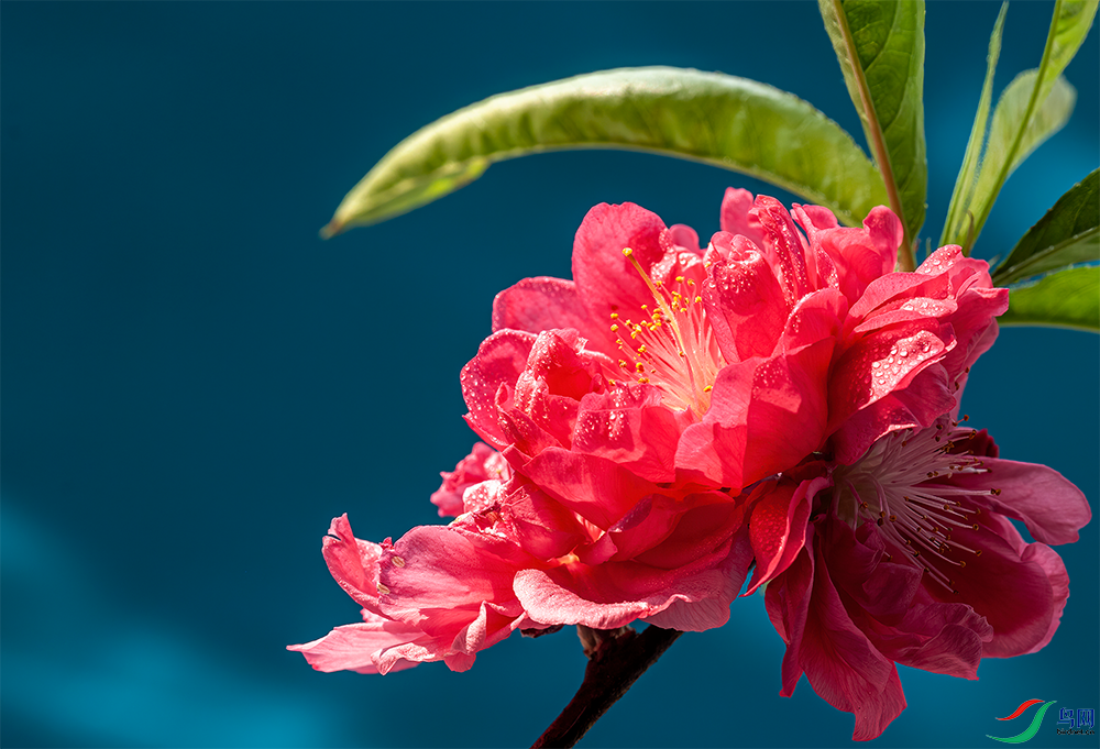 DSC_2224.png   0001.png