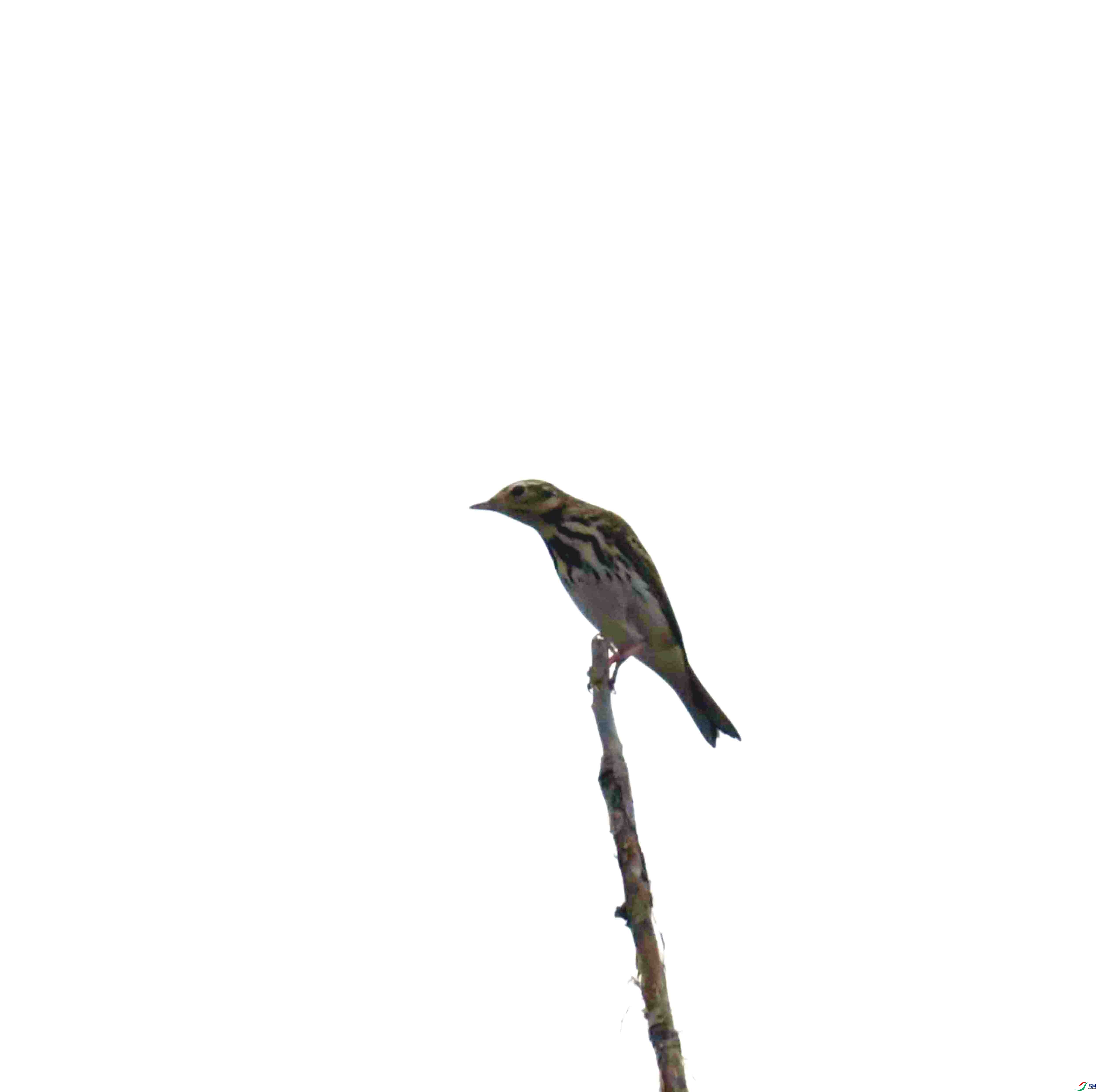 DSC_2036.JPG