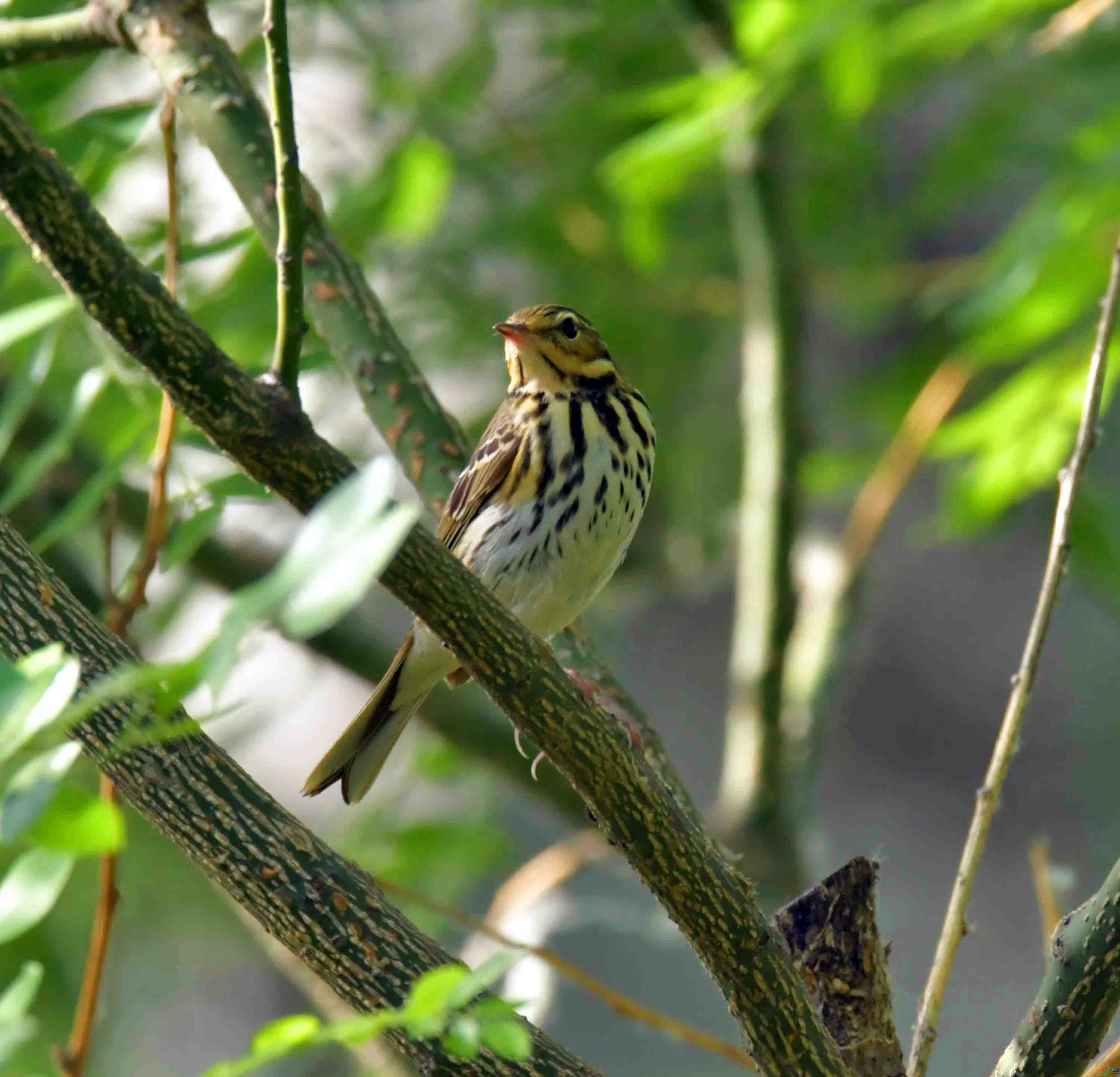 DSC_9119.JPG