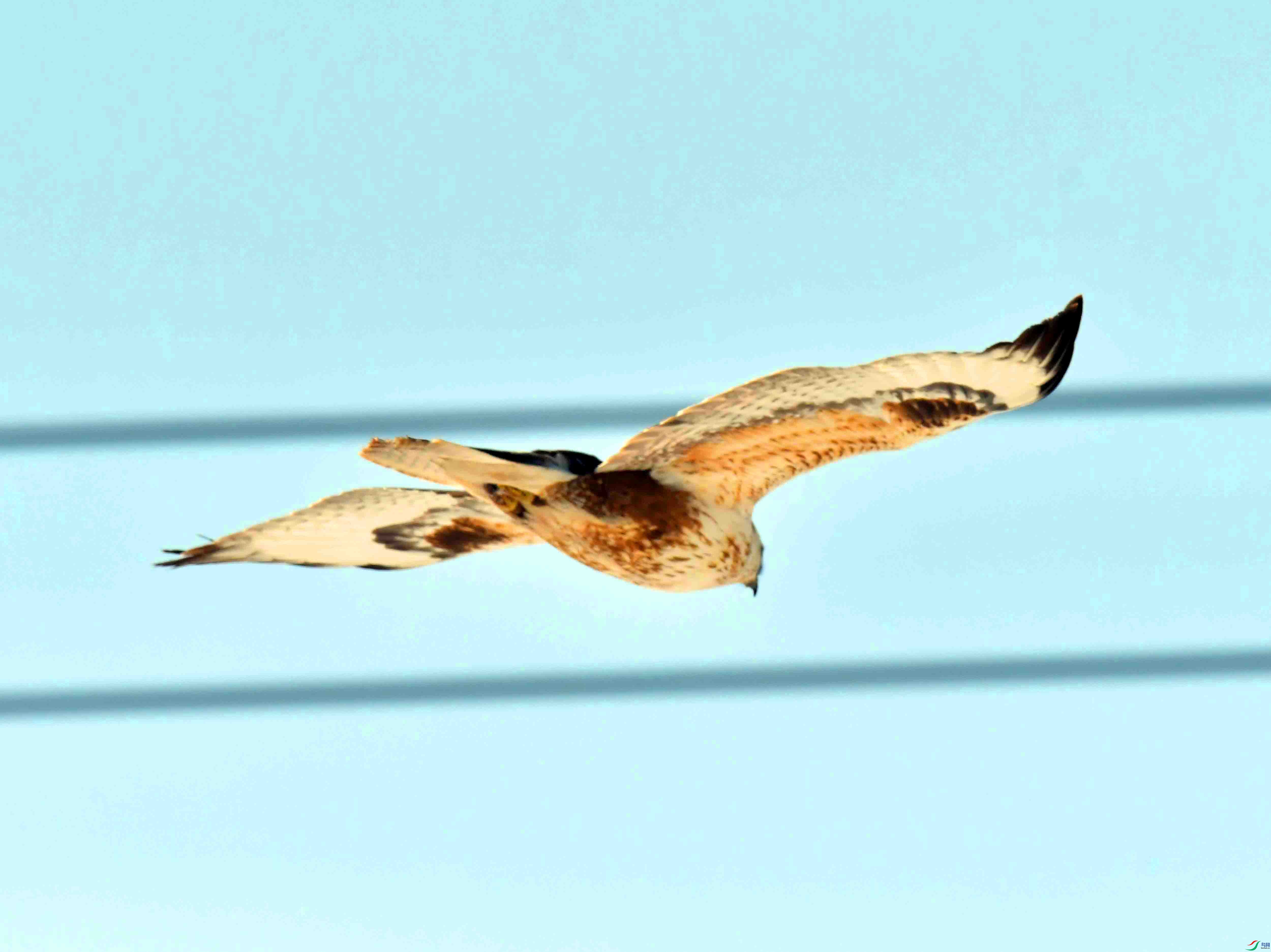 DSC_3172.JPG