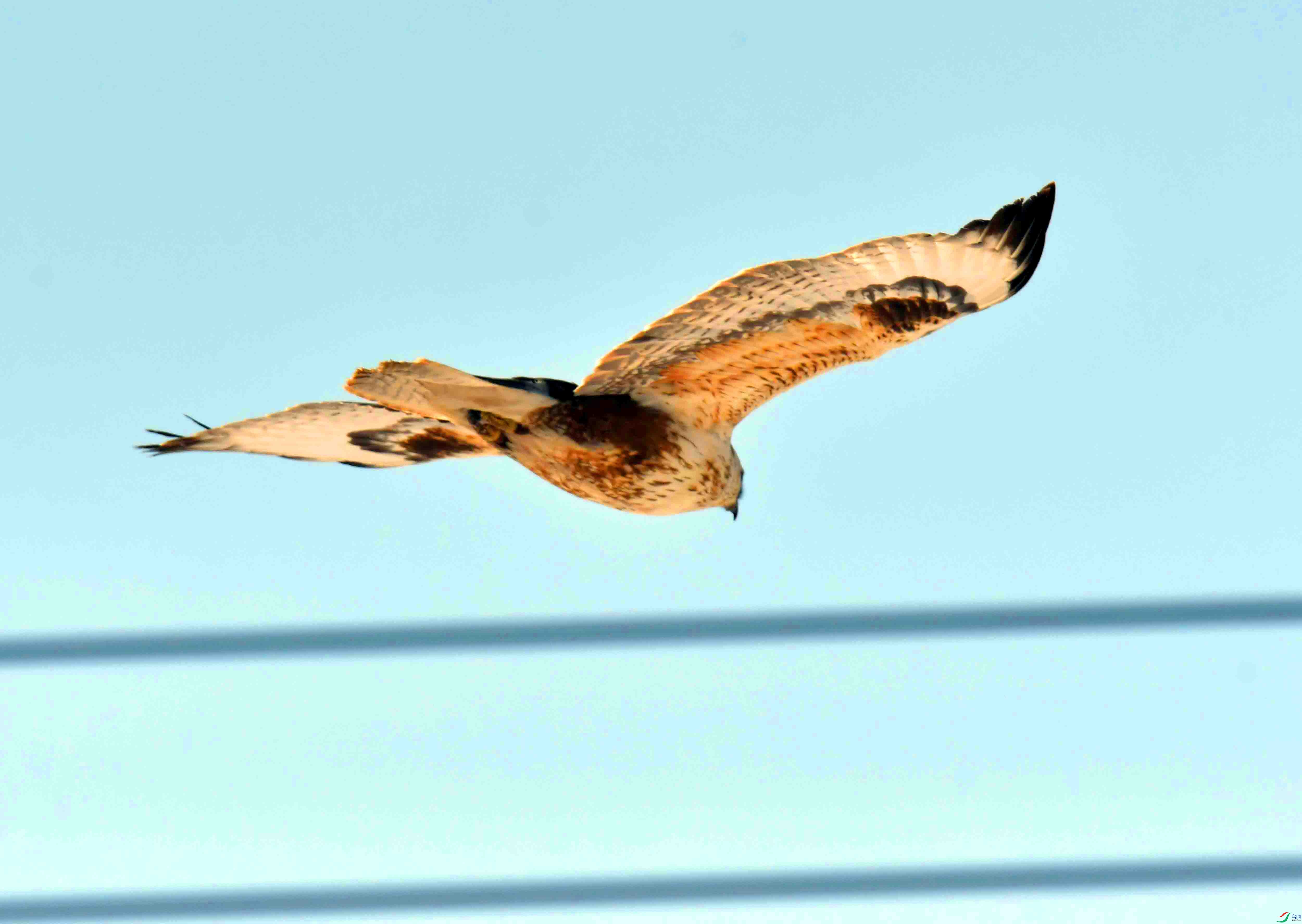 DSC_3171.JPG