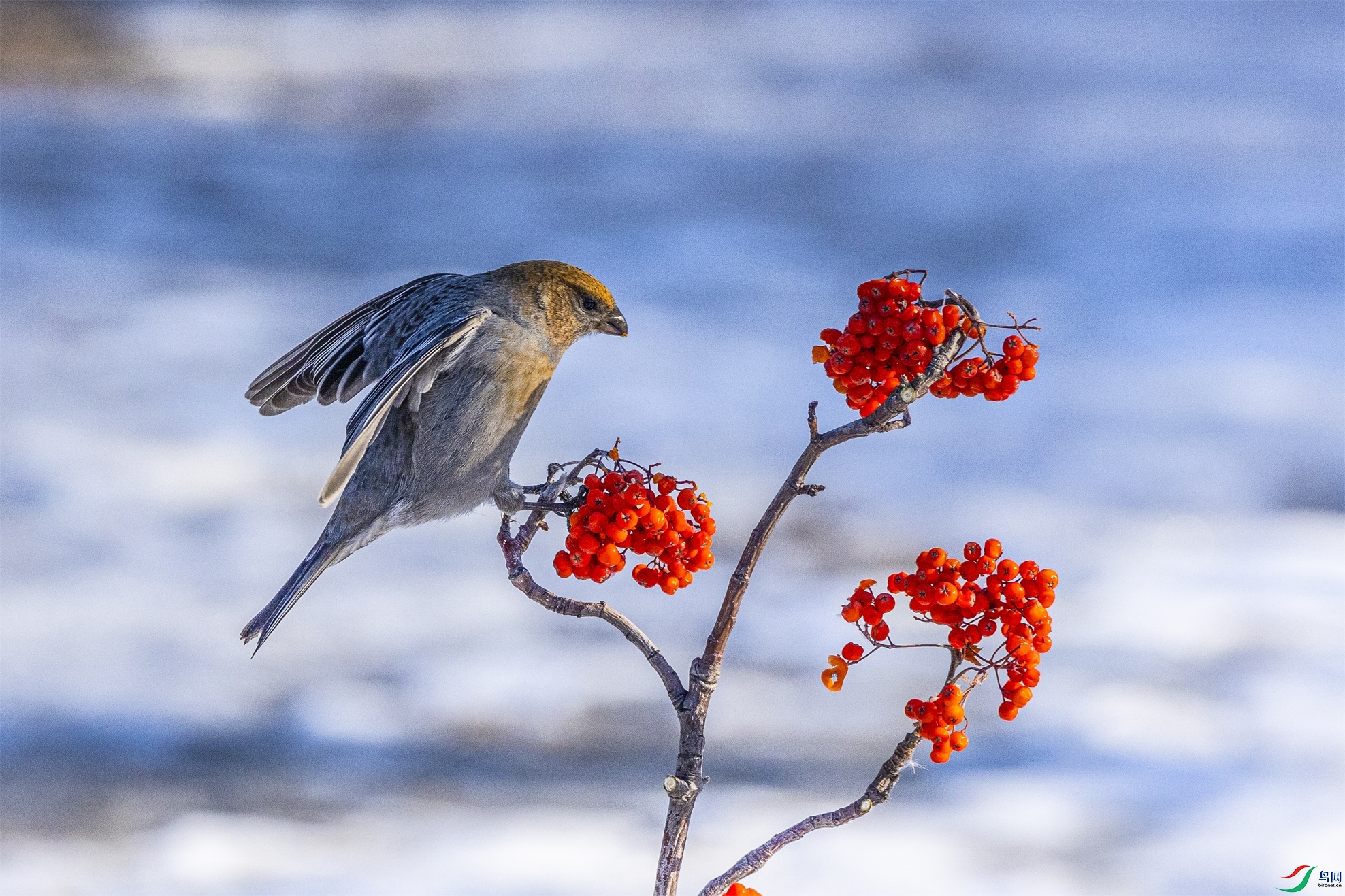 1K3A4942 ����1.jpg