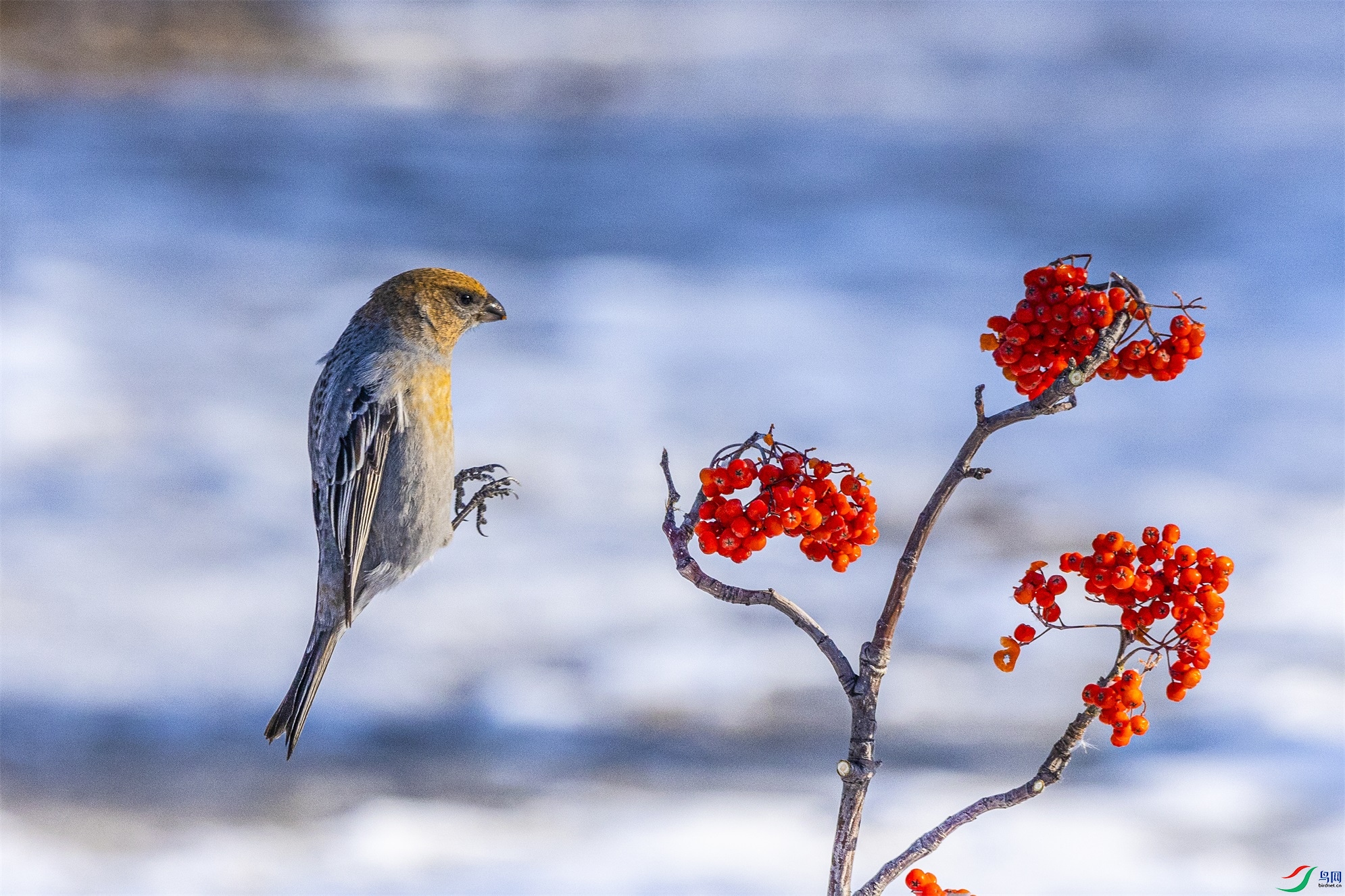 1K3A4940 ����1.jpg