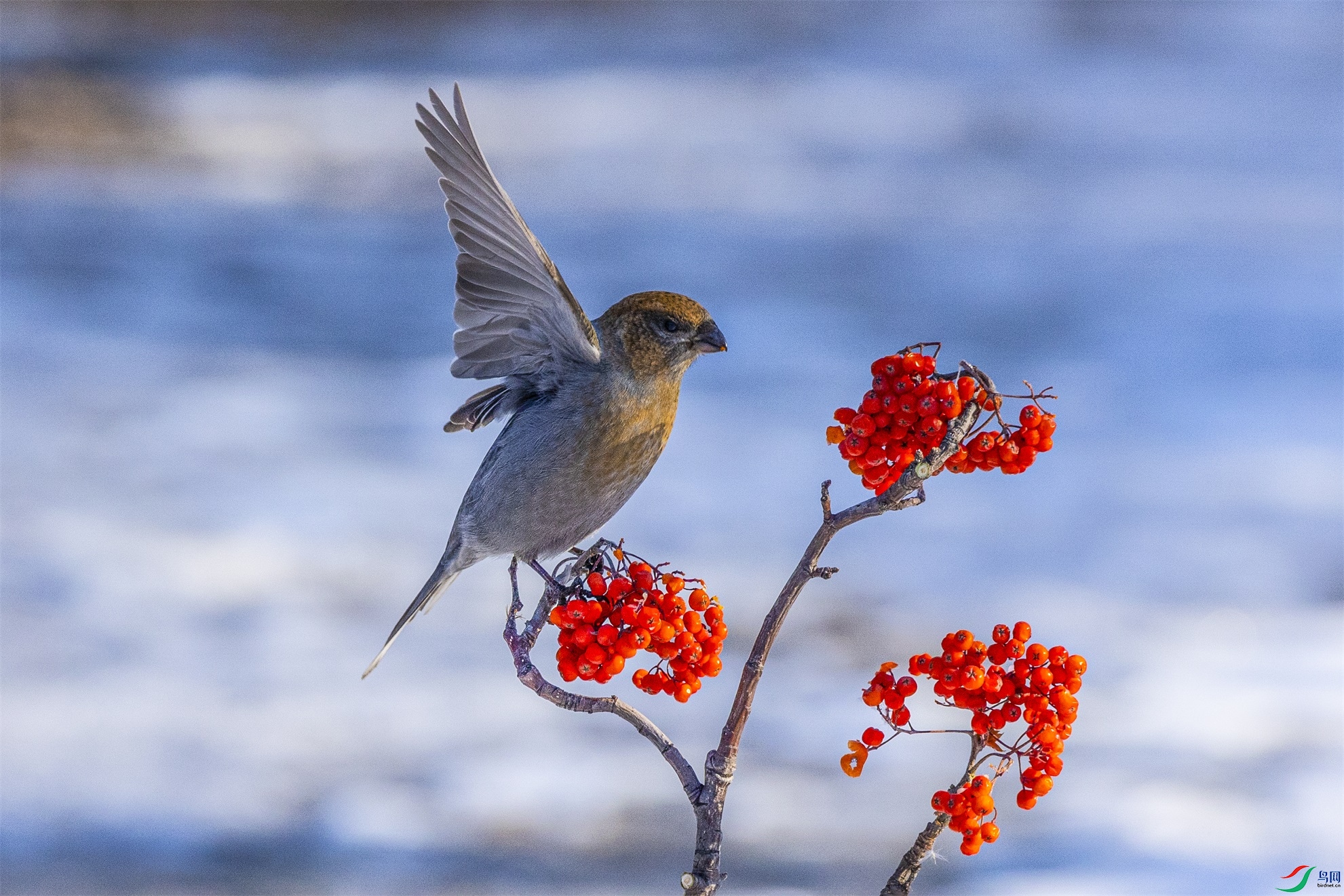 1K3A4958 ����1.jpg